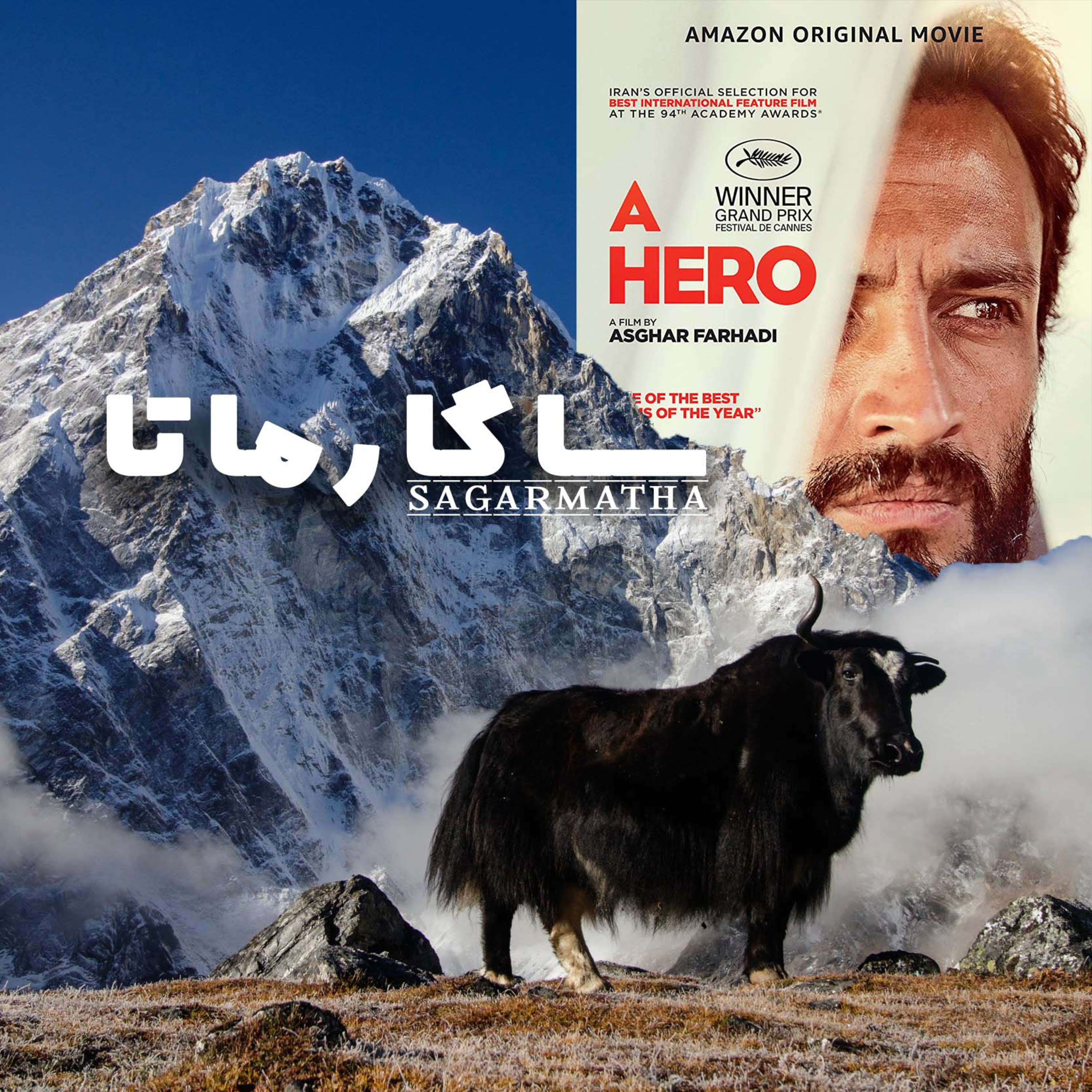 کاور بررسی فیلم قهرمان اصغر فرهادی