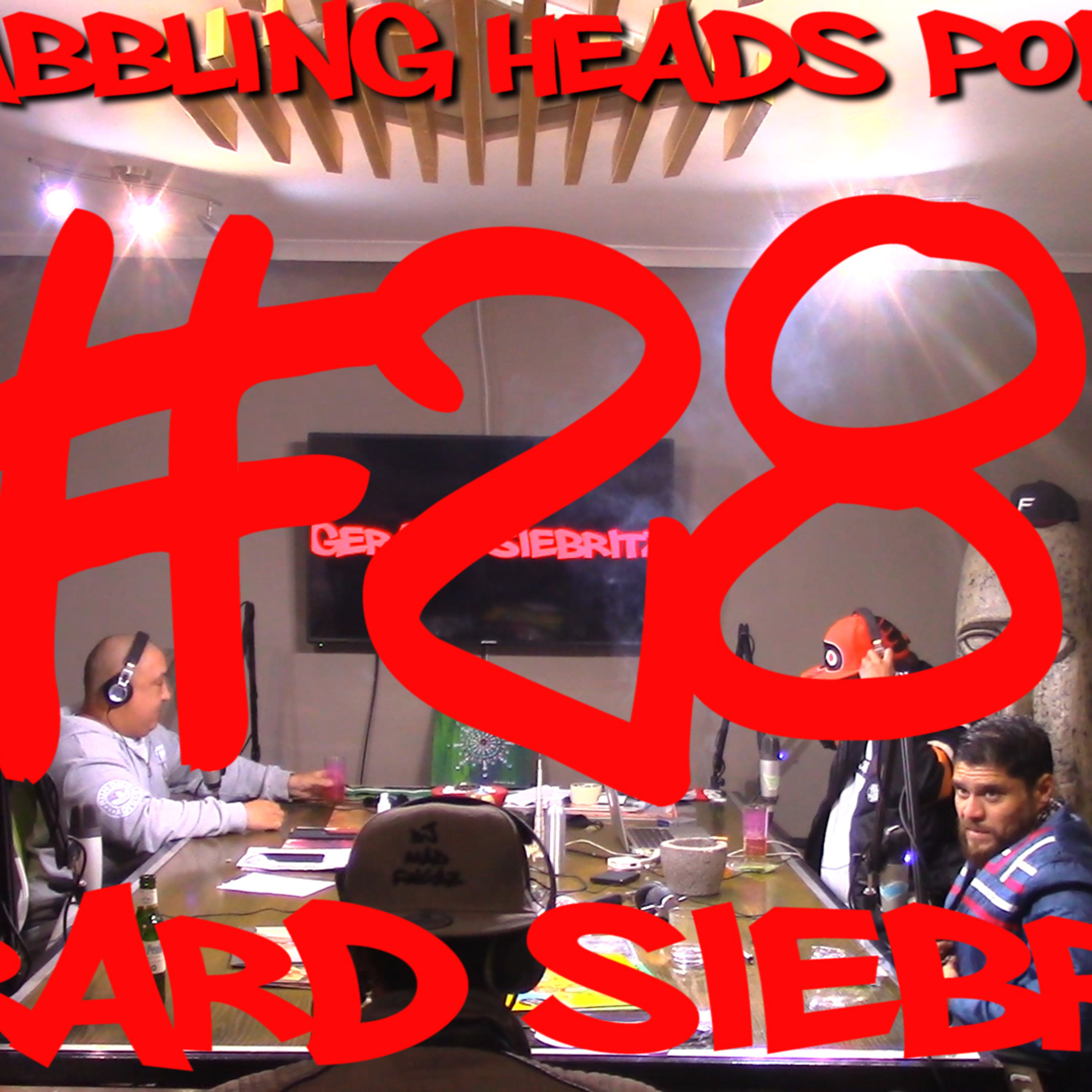 The Babbling Heads Project
