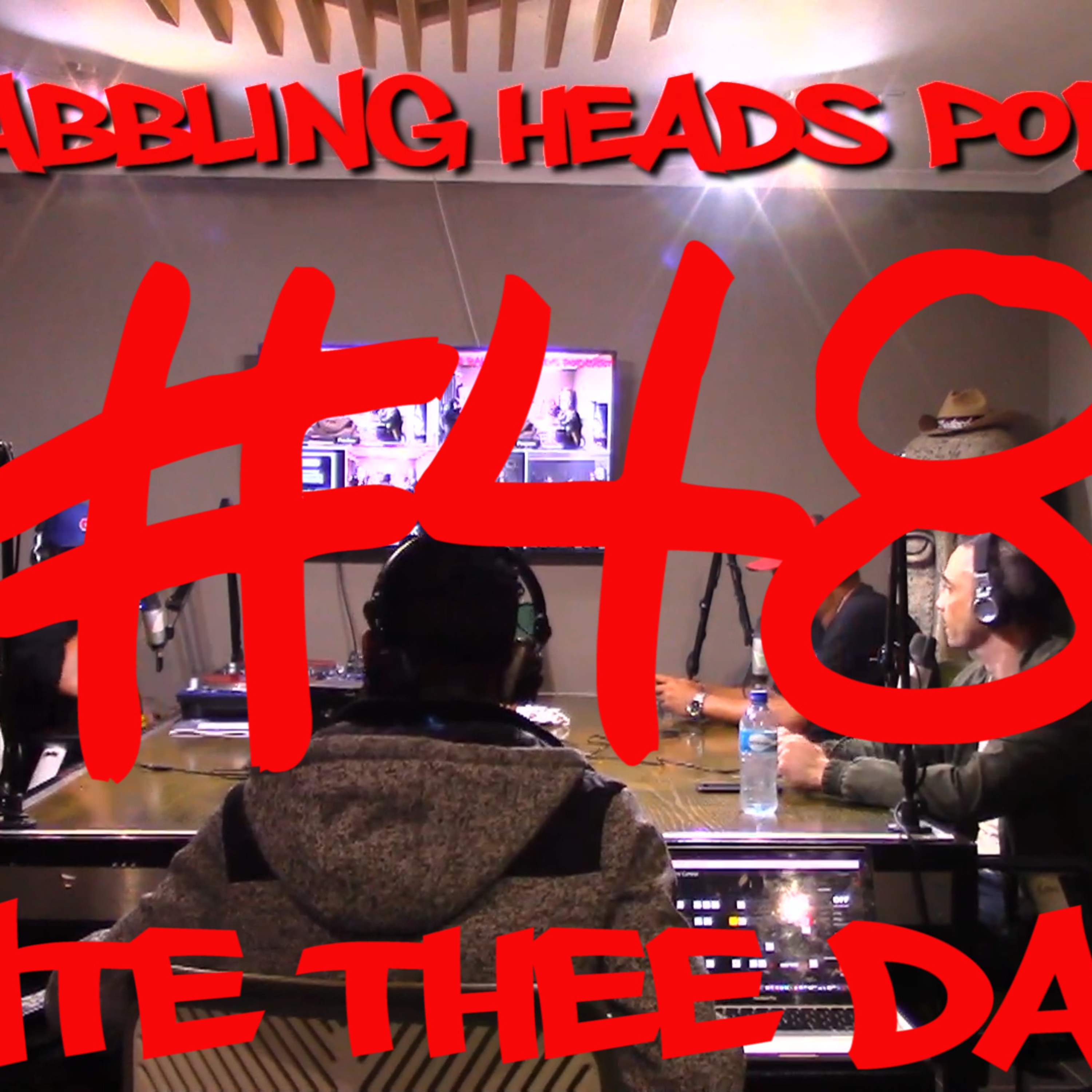 The Babbling Heads Project