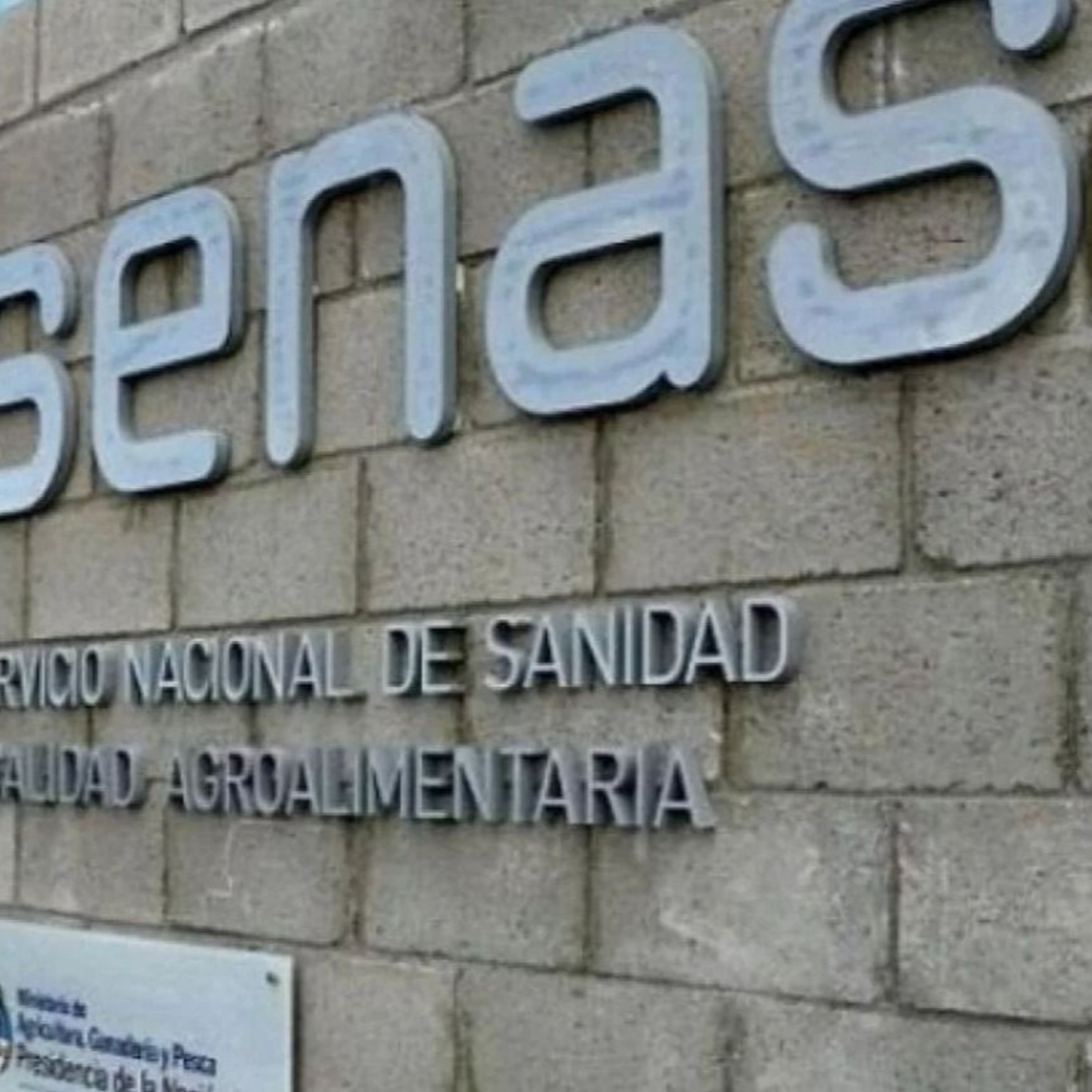 Cumbre AM1400