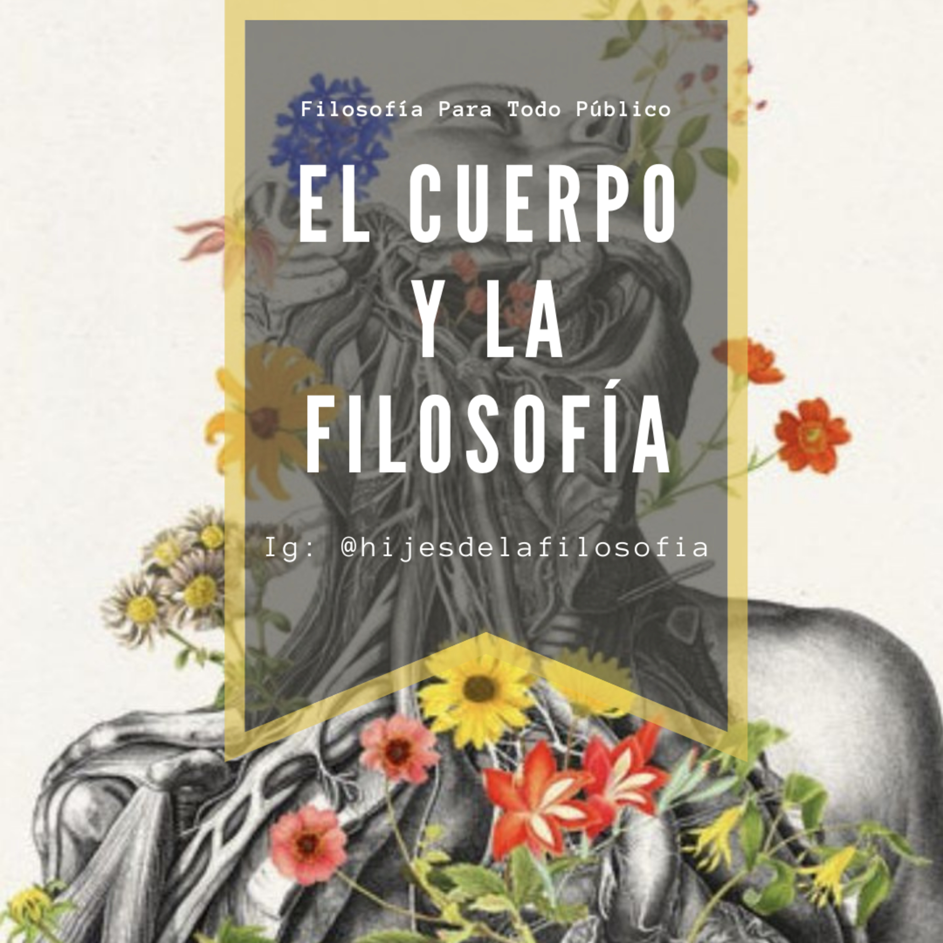 Filosofía para todo público