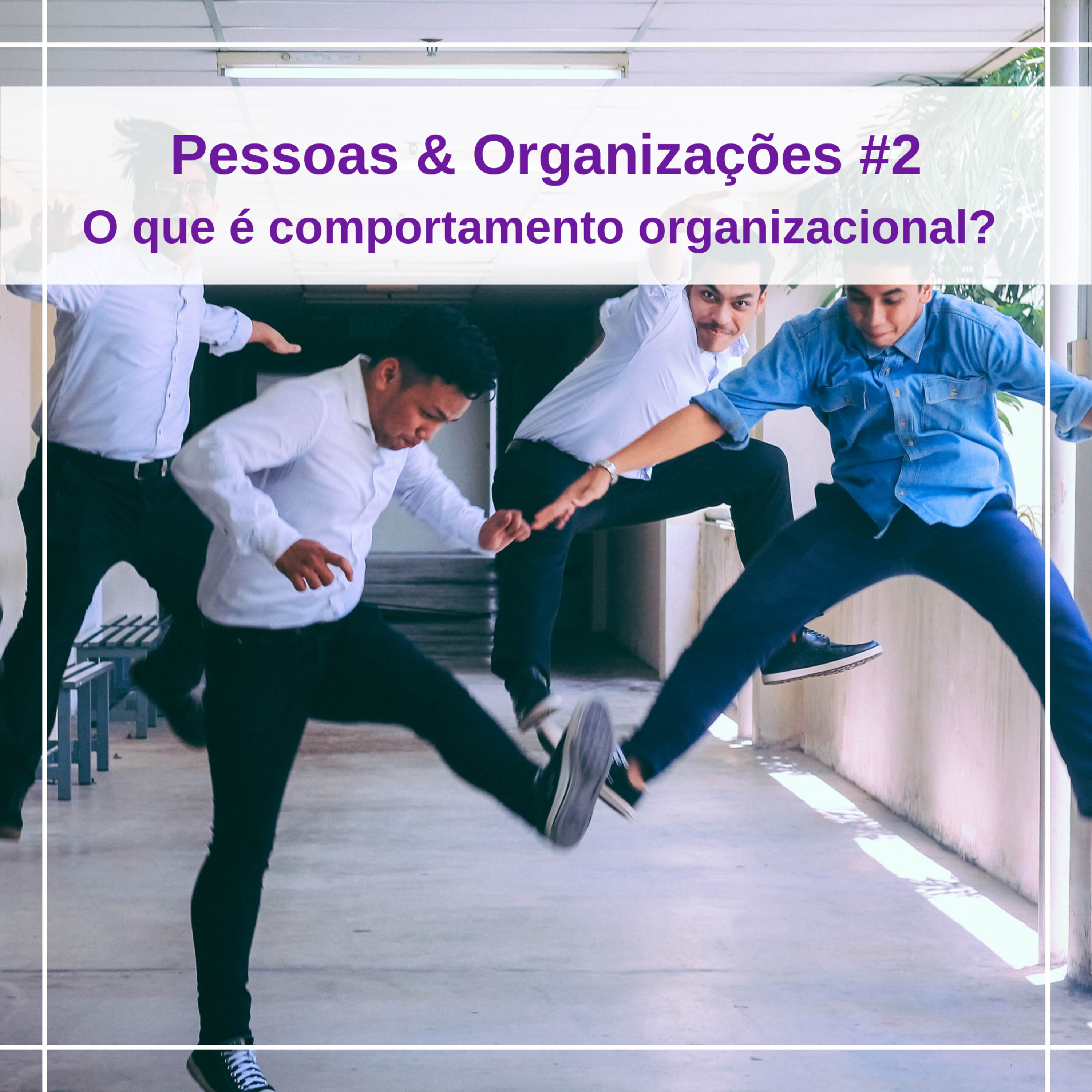 Pessoas & Organizações