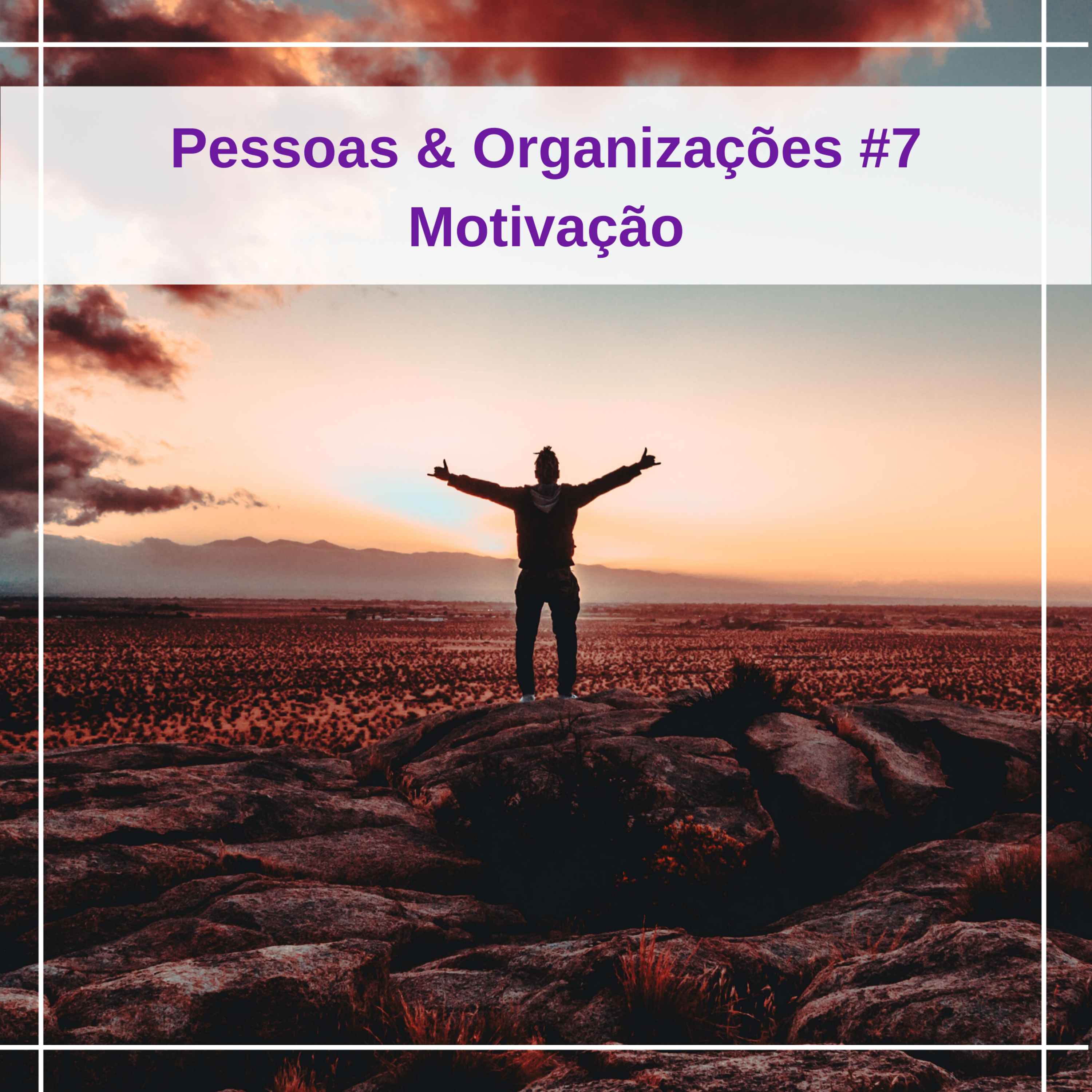 Pessoas & Organizações