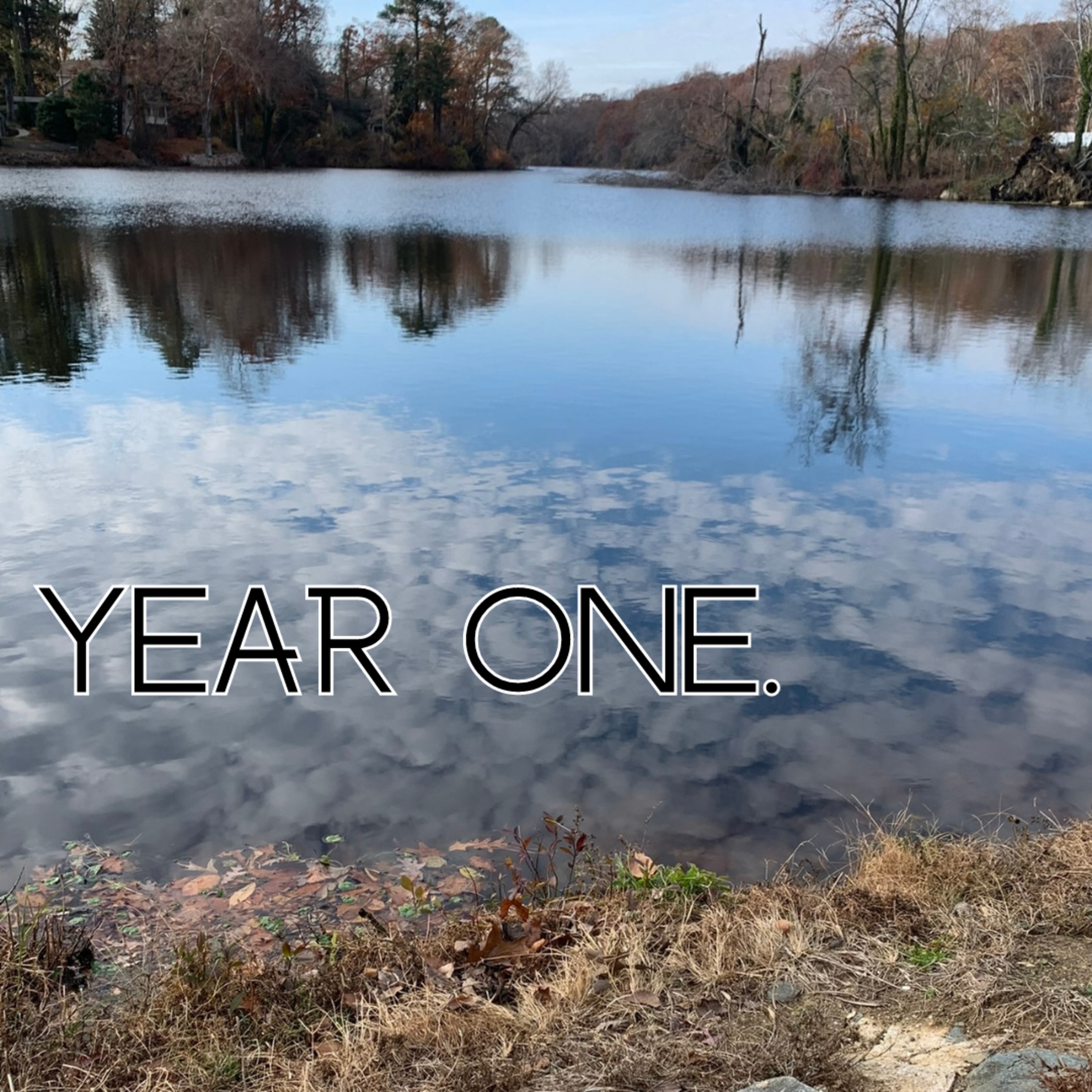 YEAR ONE.