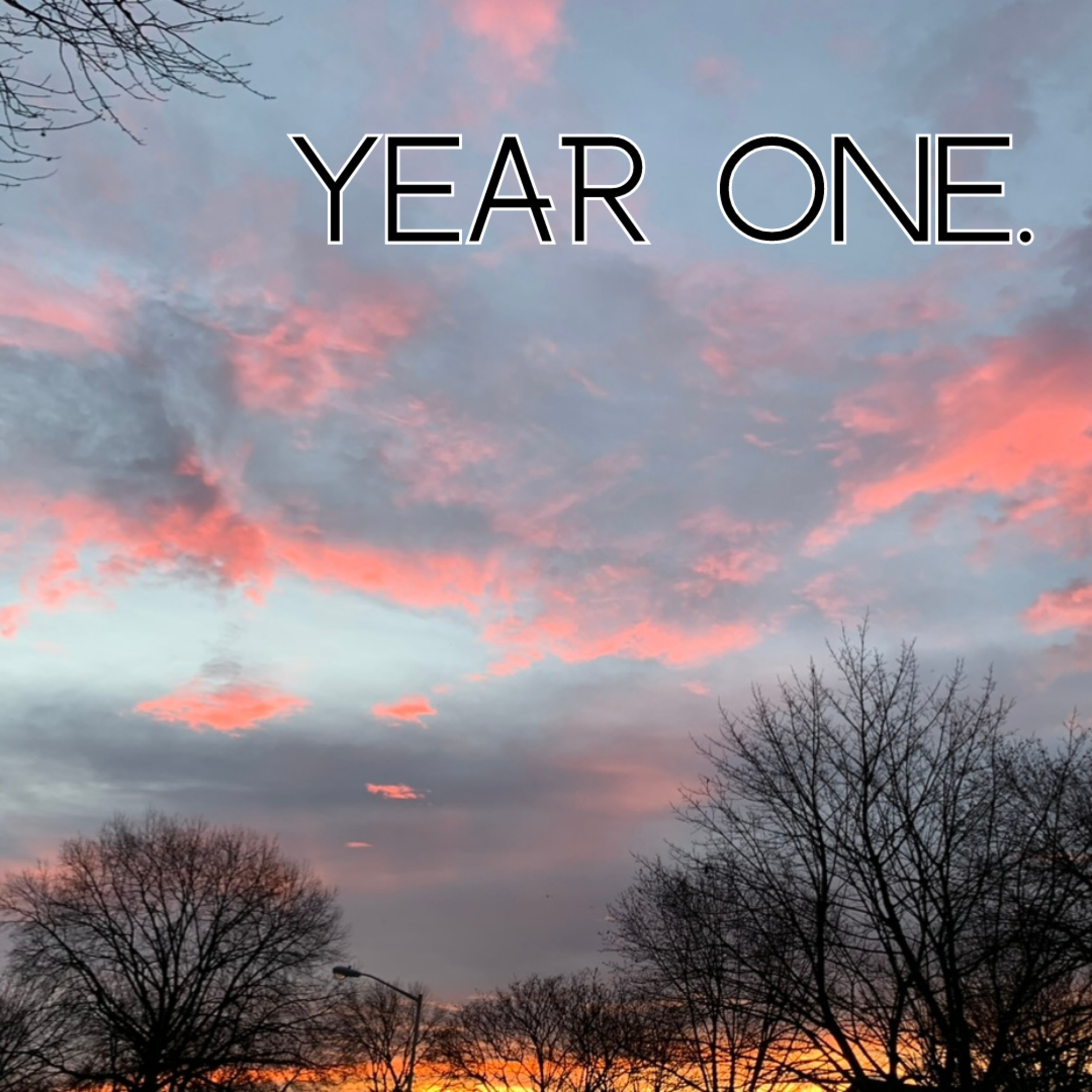 YEAR ONE.
