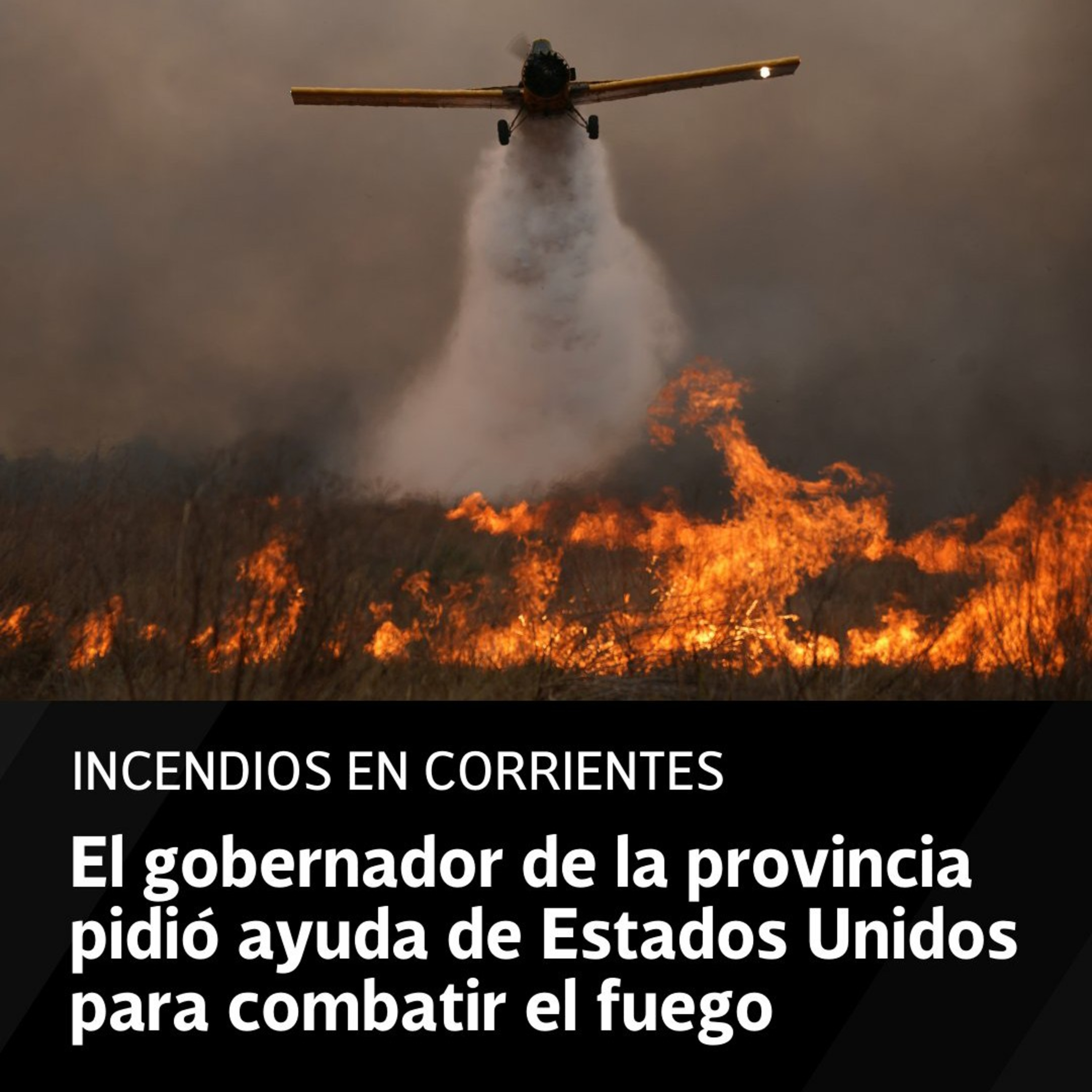 OCAMPOHOY \