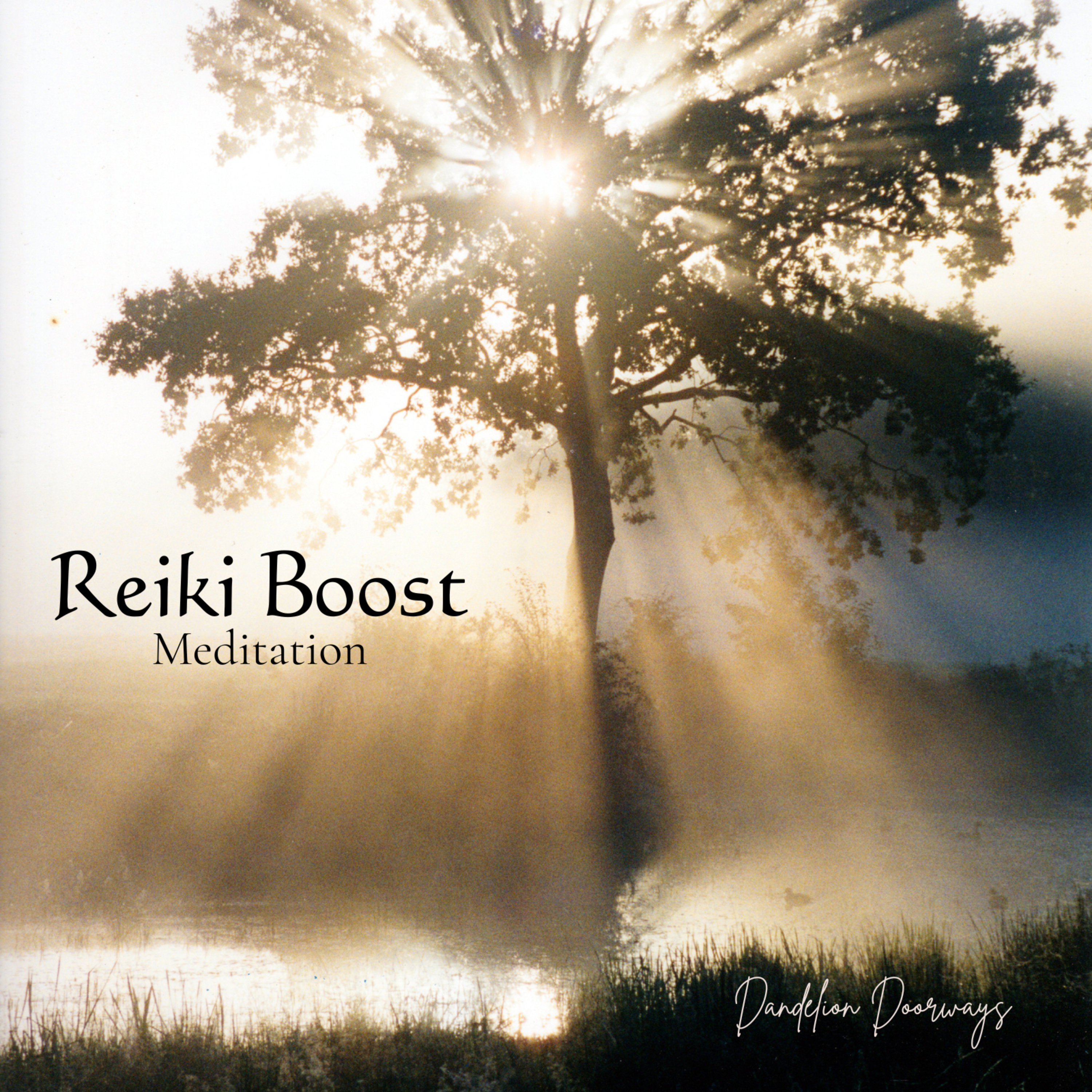 Reiki Boost Meditation episode artwork