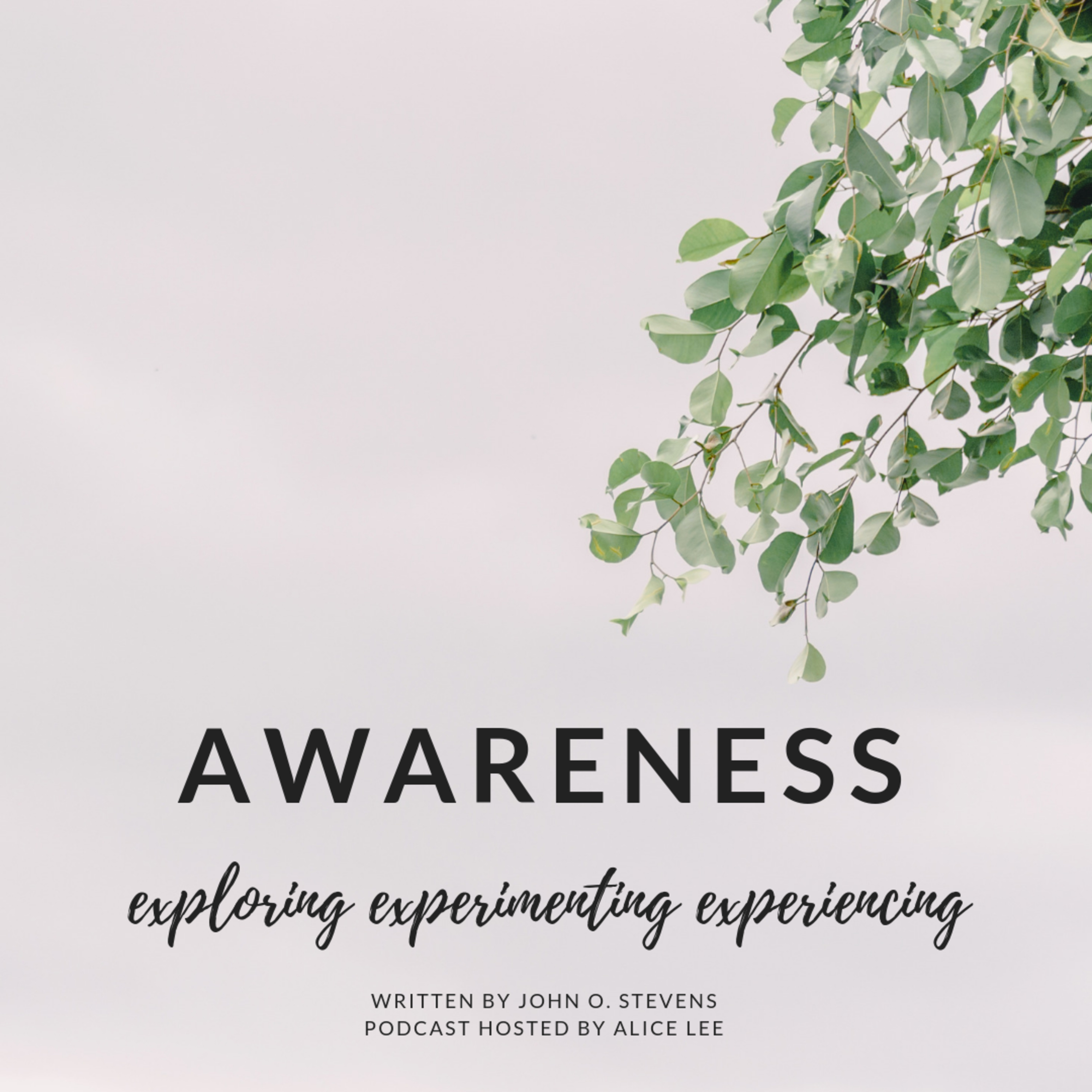 Awake with Awareness