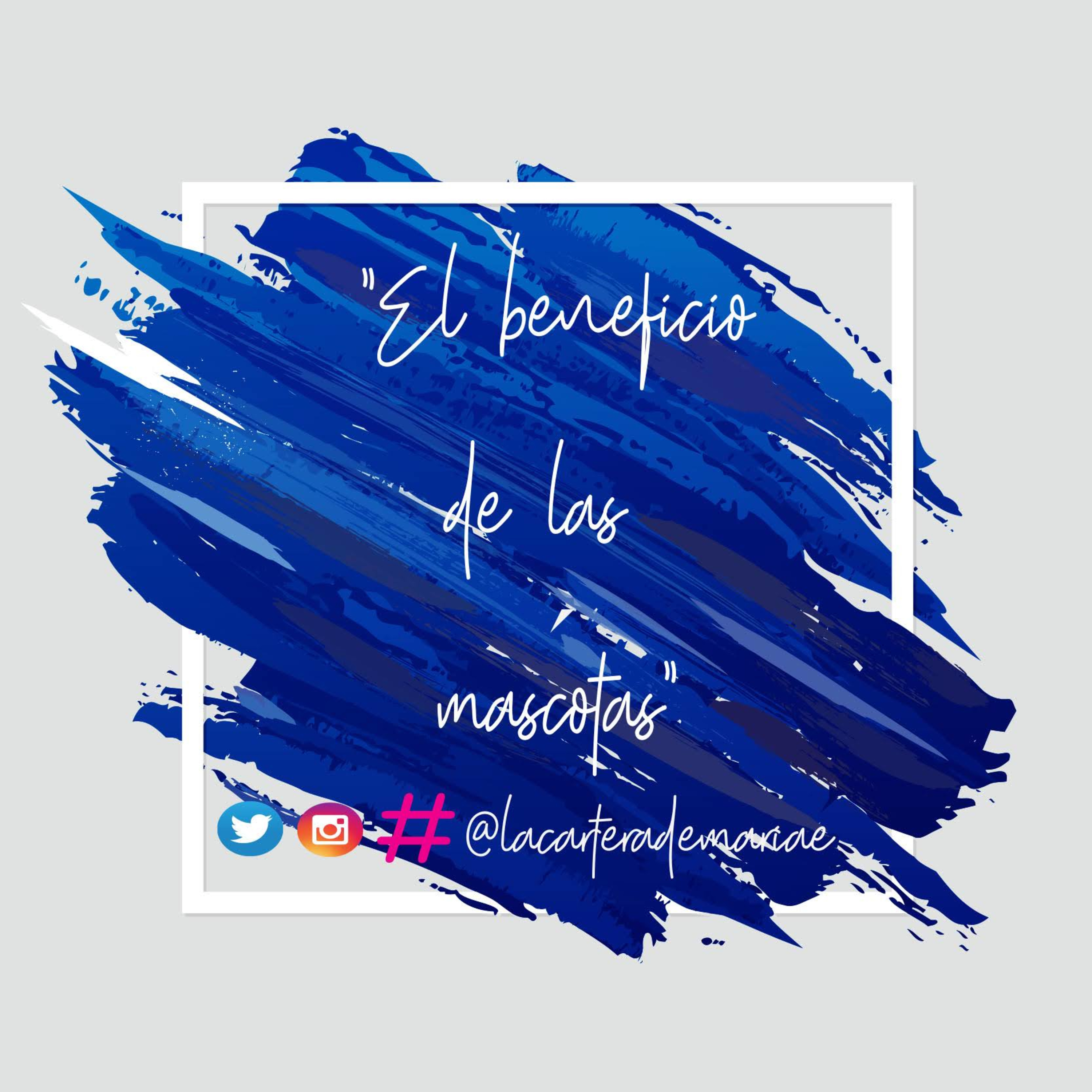 La Cartera de María E