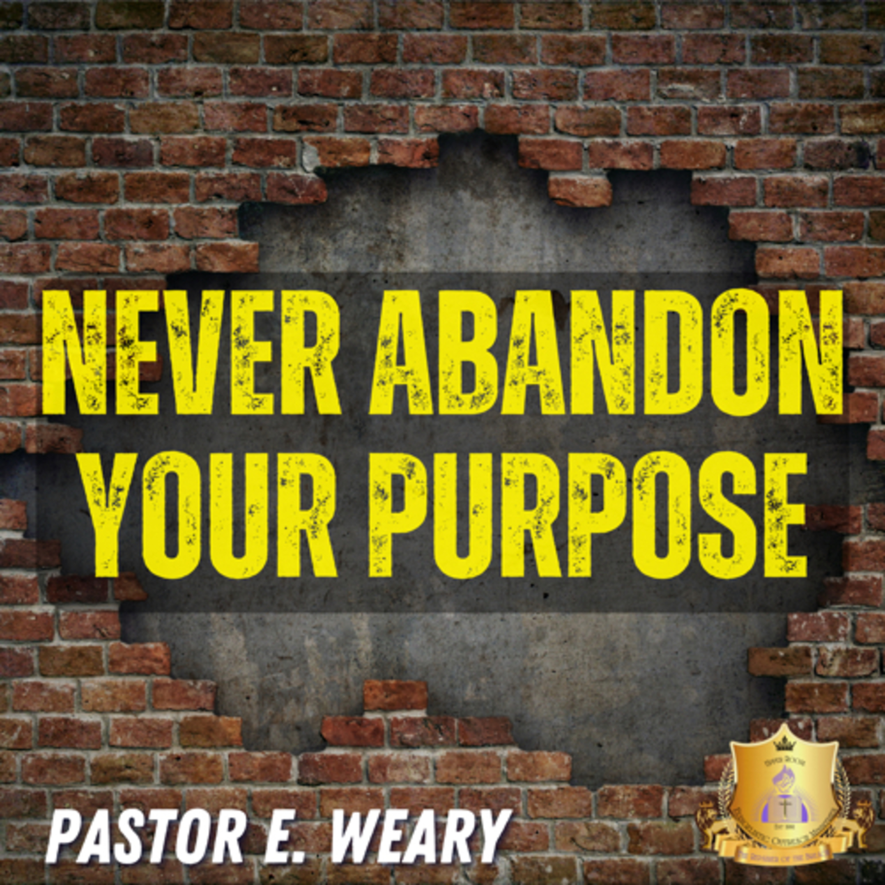 Never abandon your purpose  episode artwork