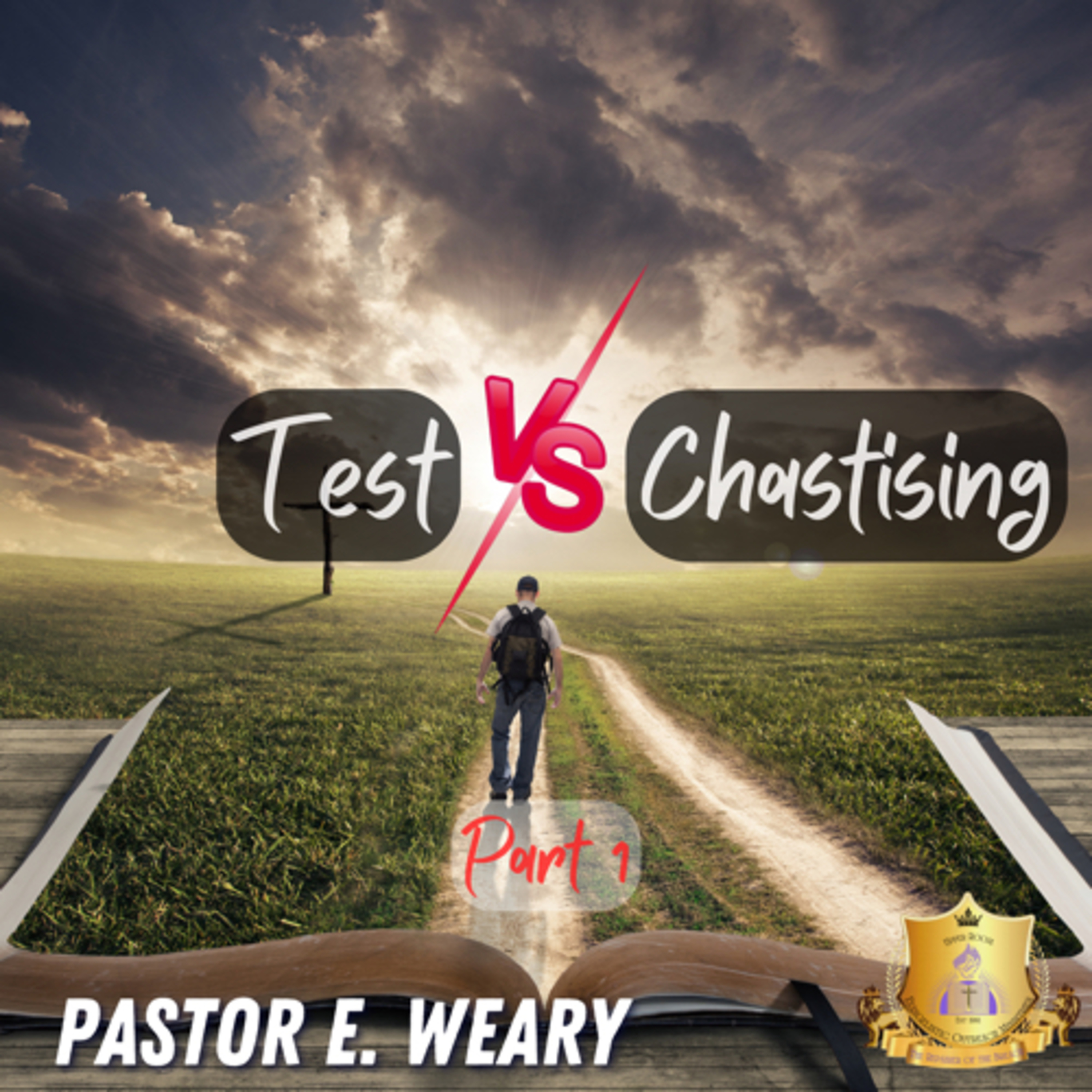 Test Vs. Chastising episode artwork
