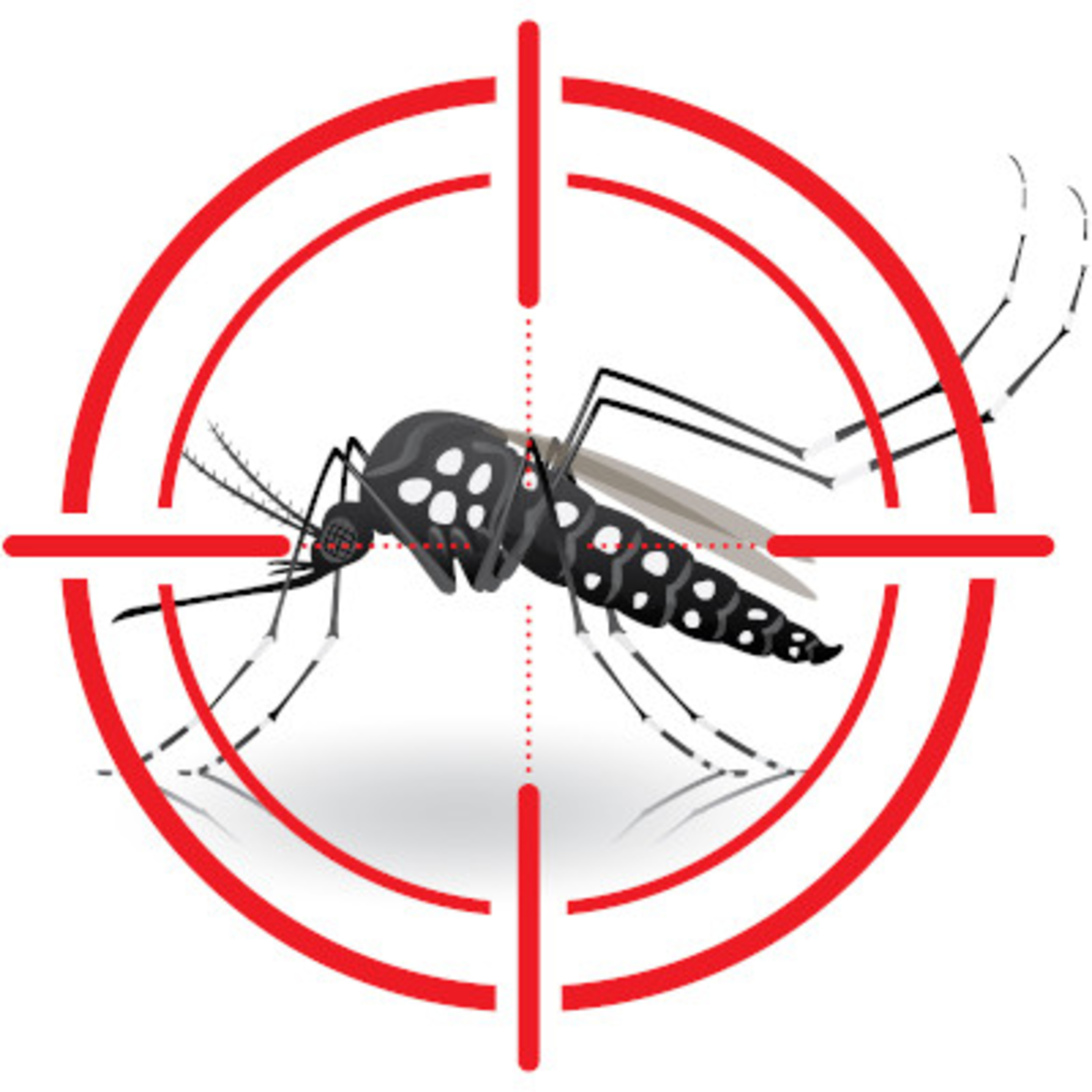 #05 Dengue: conscientização e prevenção. episode artwork