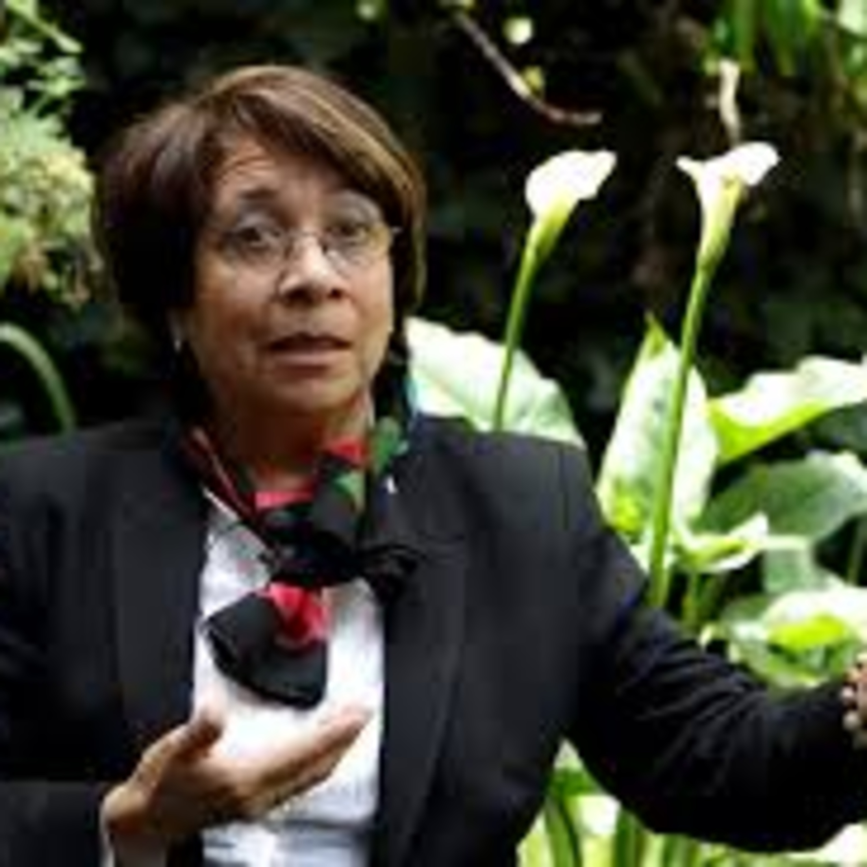 Entrevista - Aida Avella (SNTG - Programa N°524 - 02/12/2019)