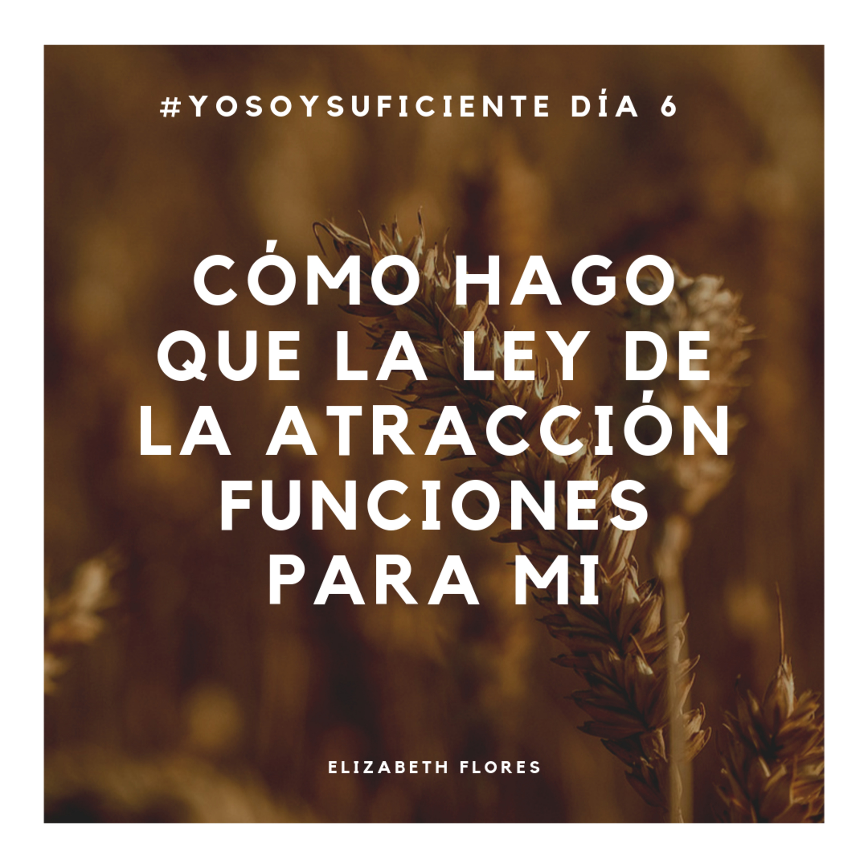 Portada de SOY TU COACH