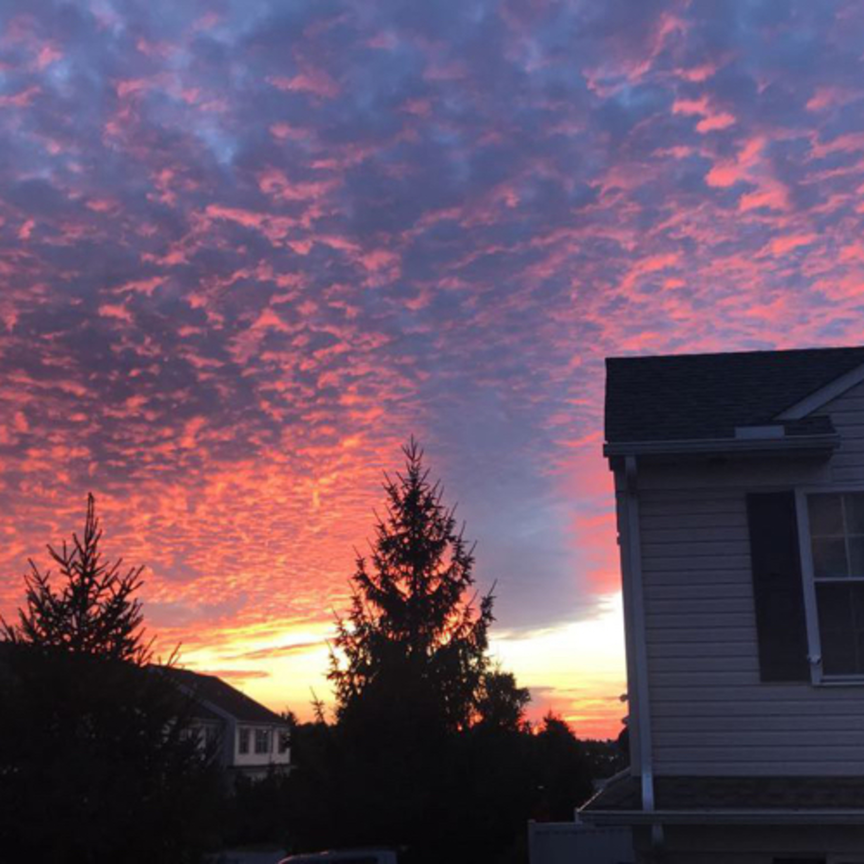 How do you see life? How do you see life?