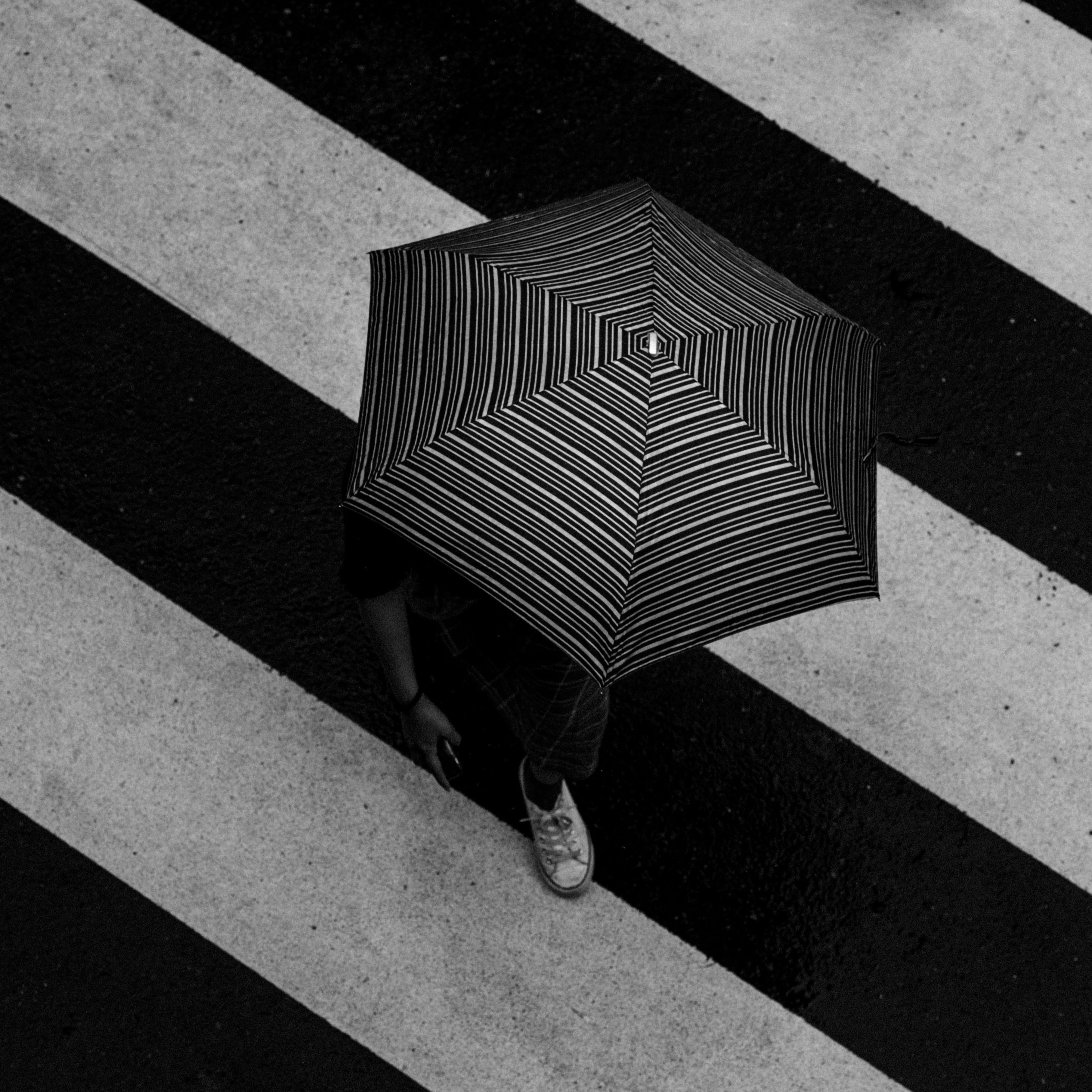 «Embelleciendo Mundos»