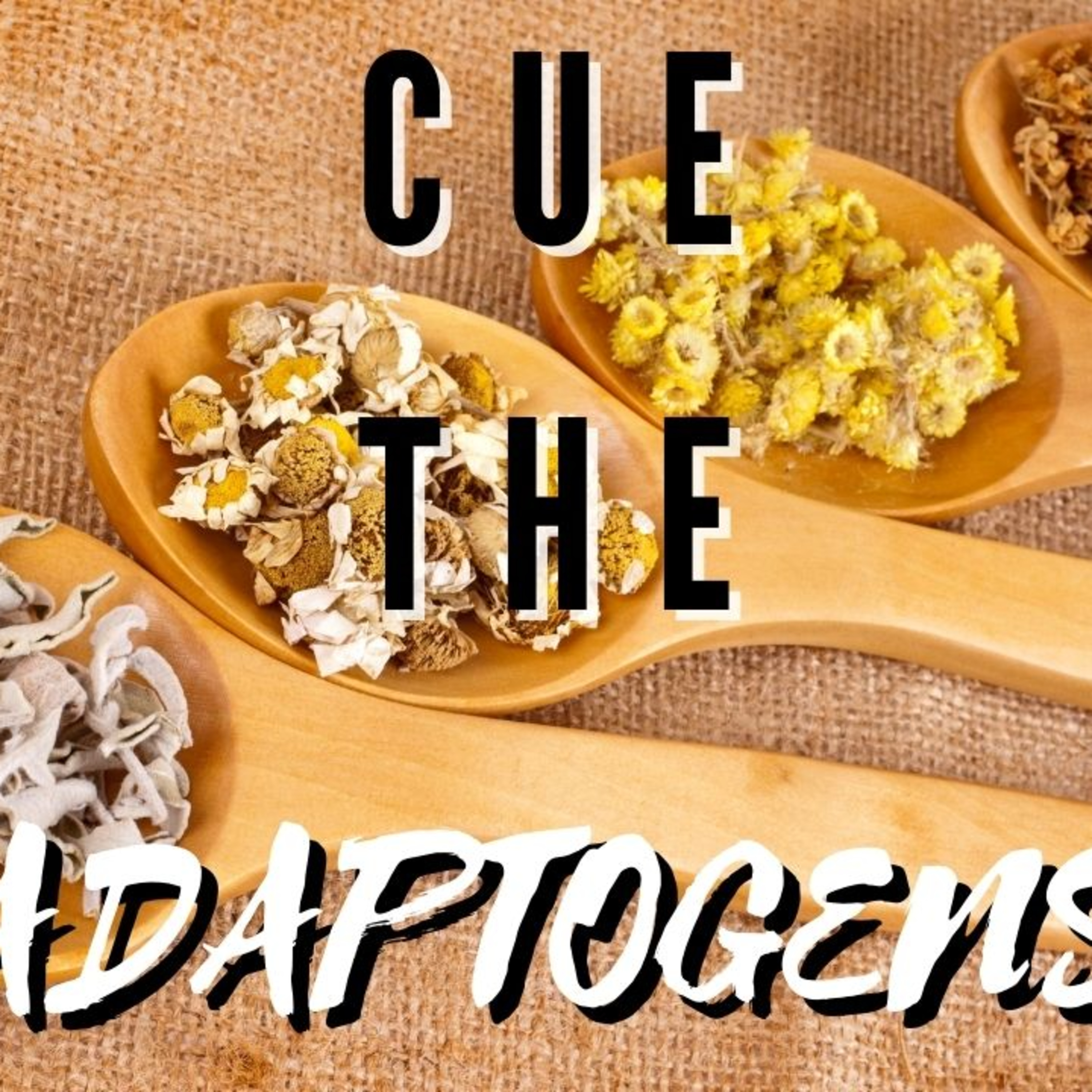 Your Total Guide To Adaptogens | Part 4 | Salvia episode artwork