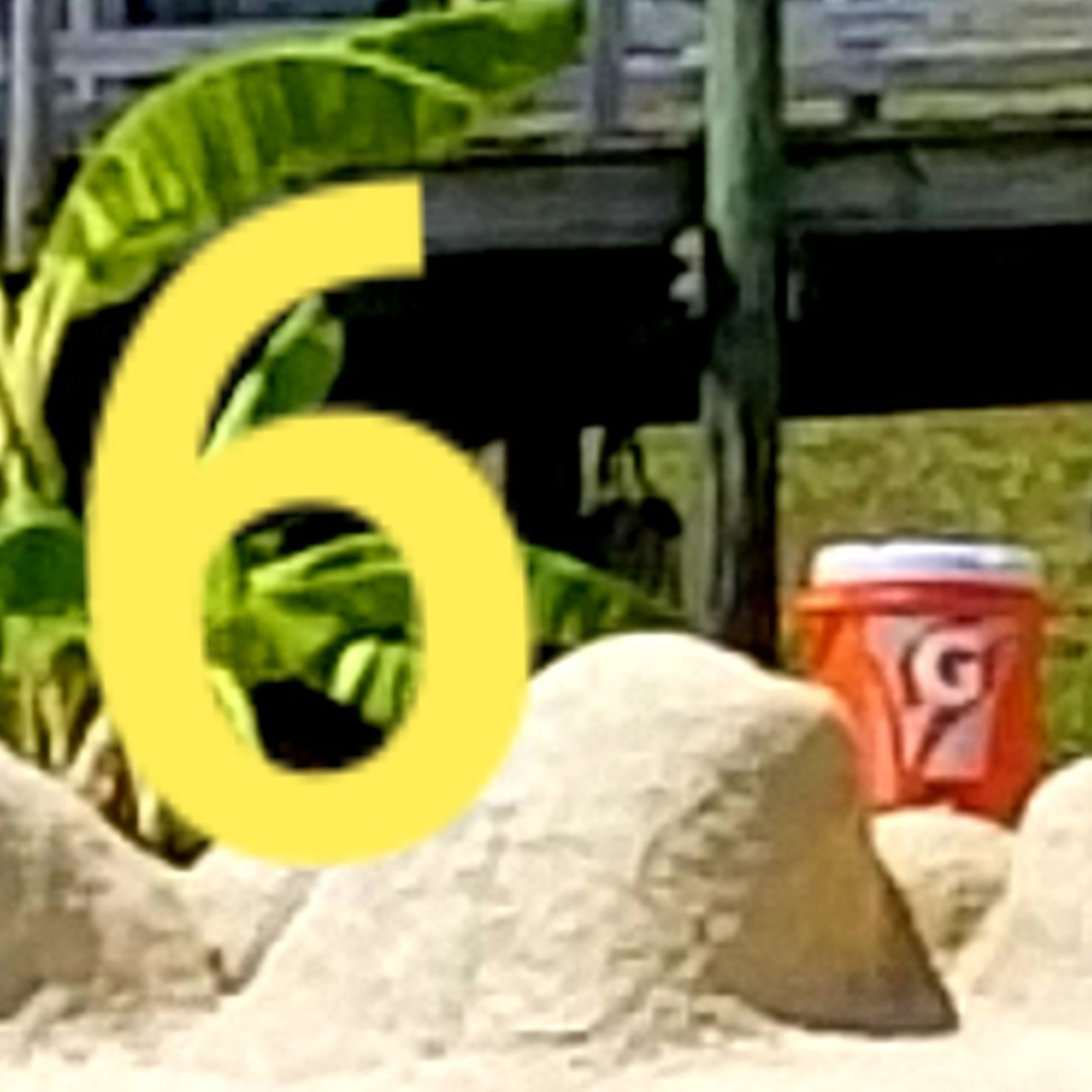 Blacksheep Superstarz