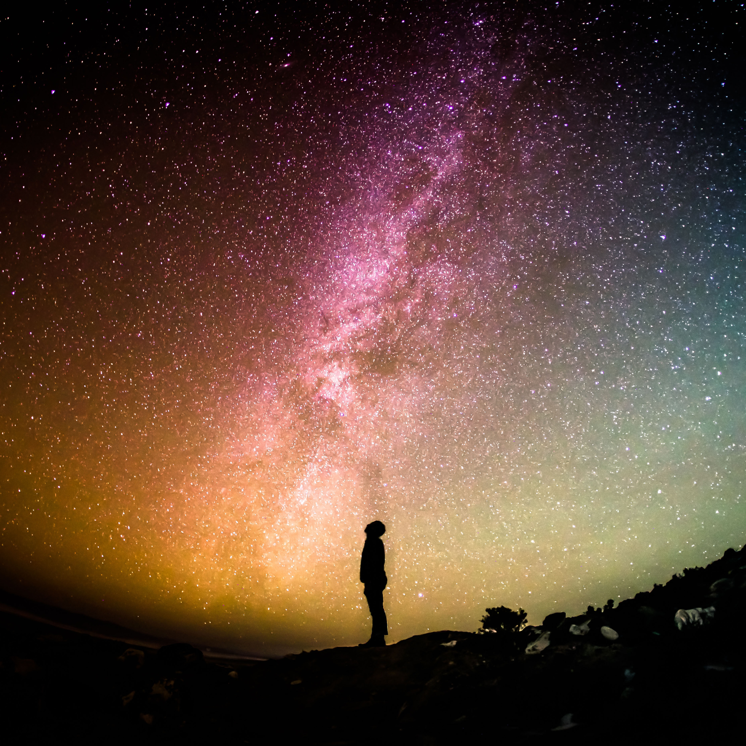 The Scale of Wisdom