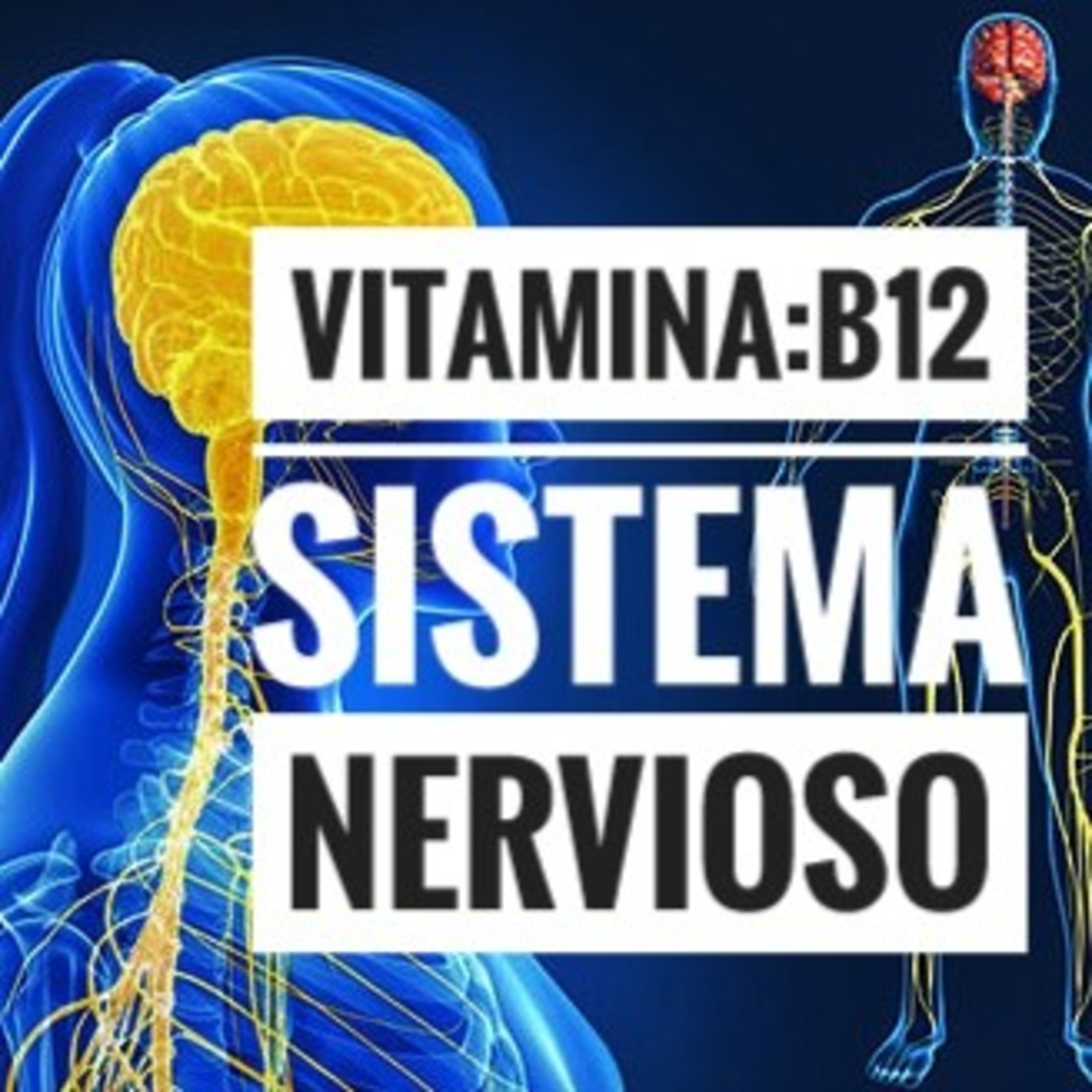 Vitamina B12 episode artwork