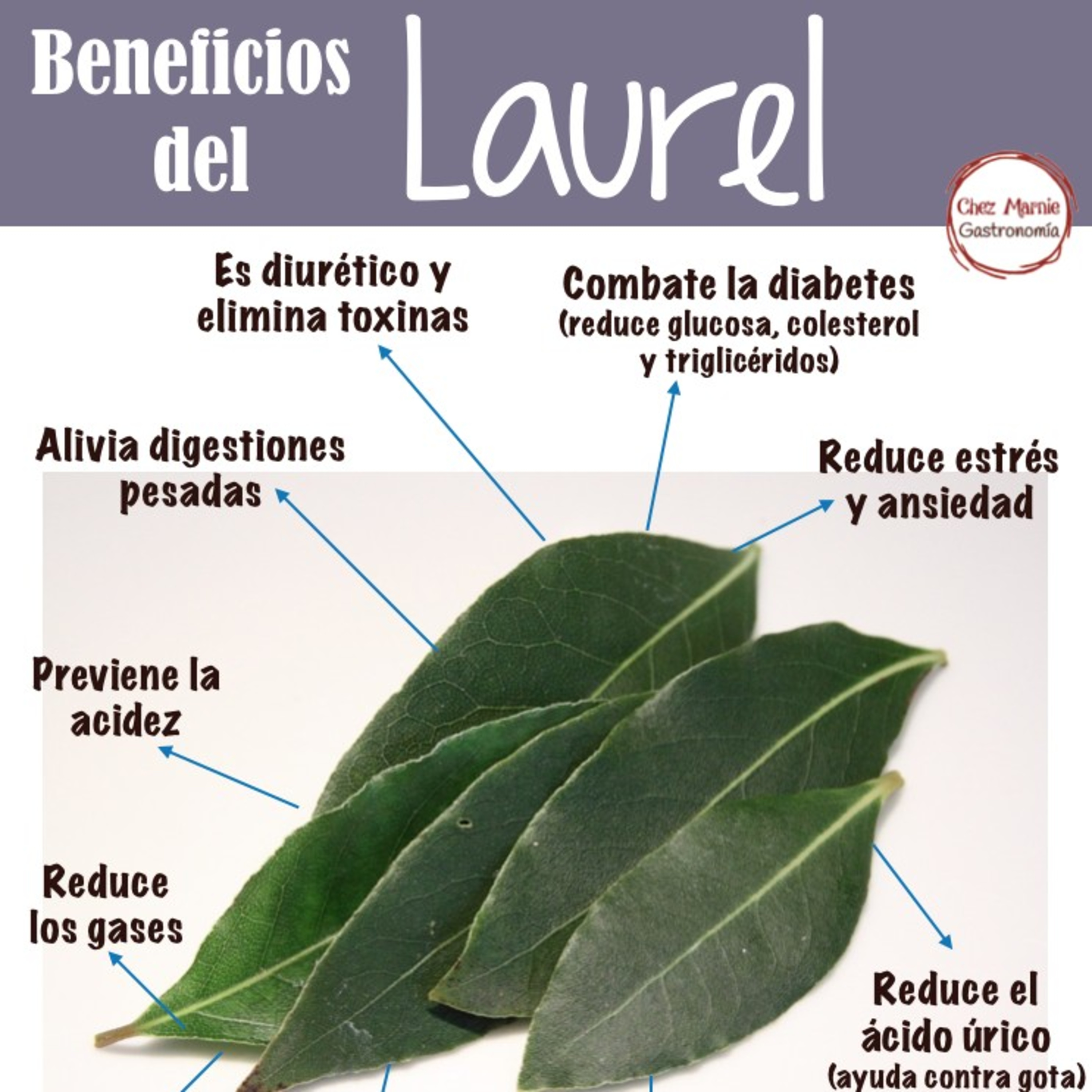 🍃 Hoja Laurel 🍃 episode artwork