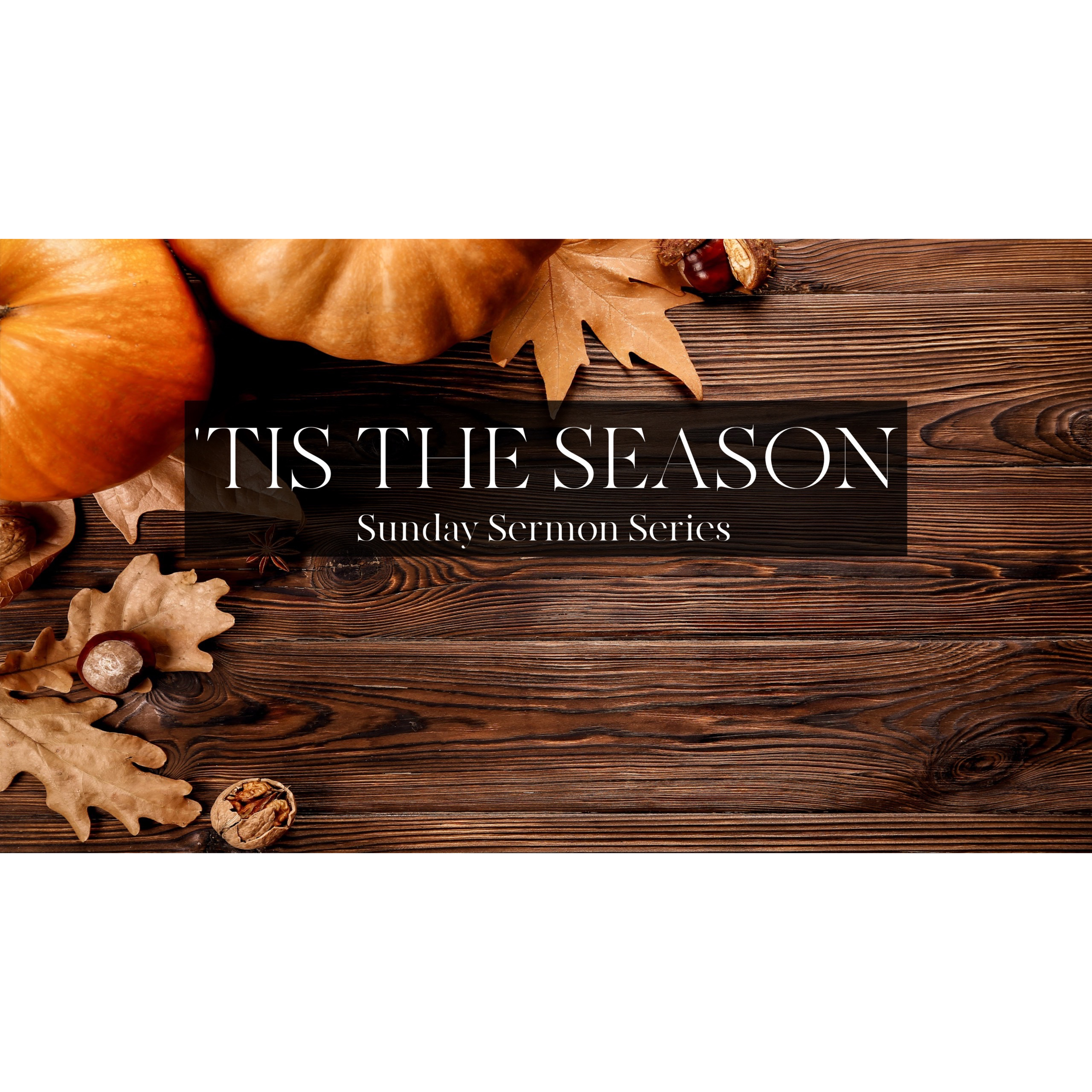 Tis The Season To Be A Peacemaker episode artwork