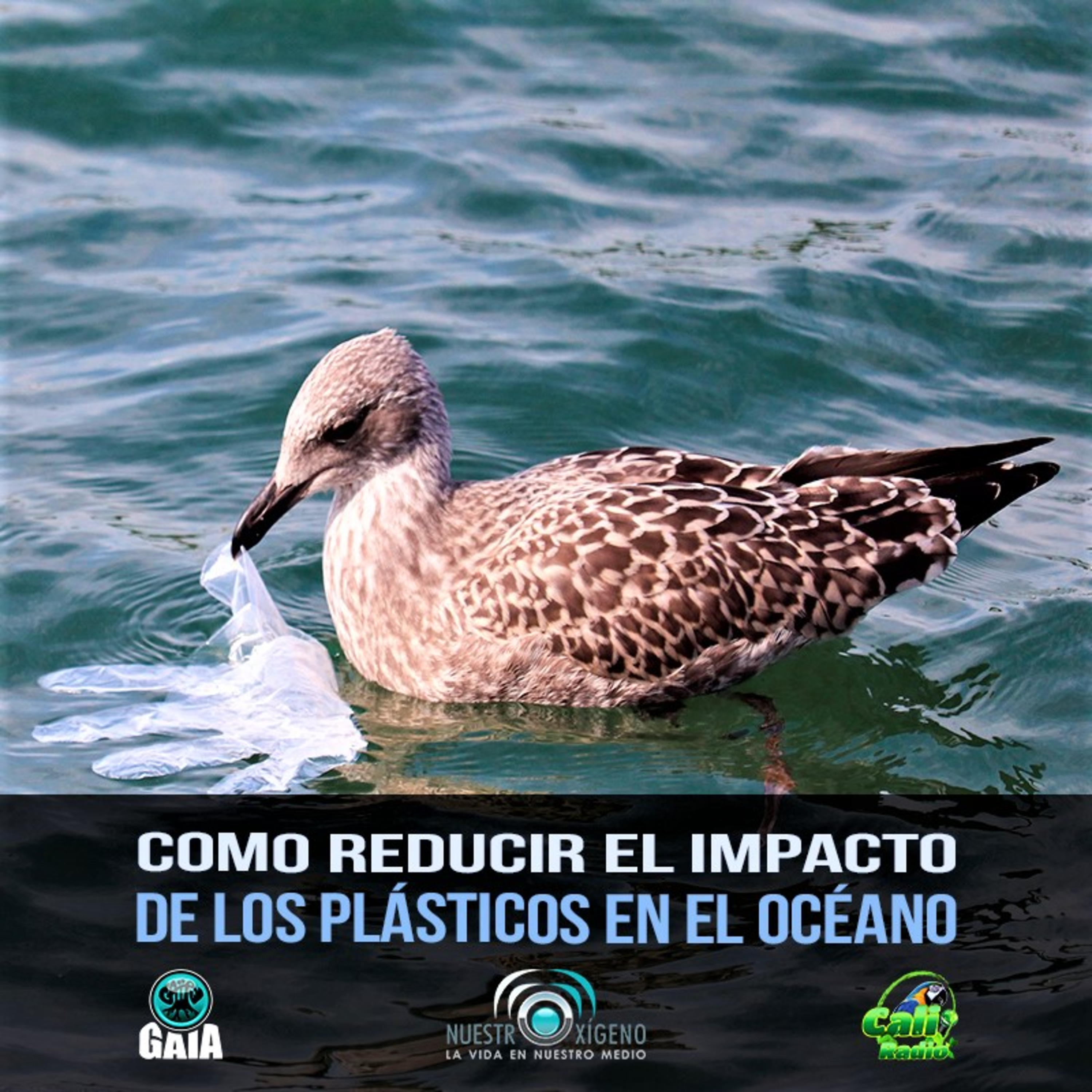 NUESTRO OXÍGENO