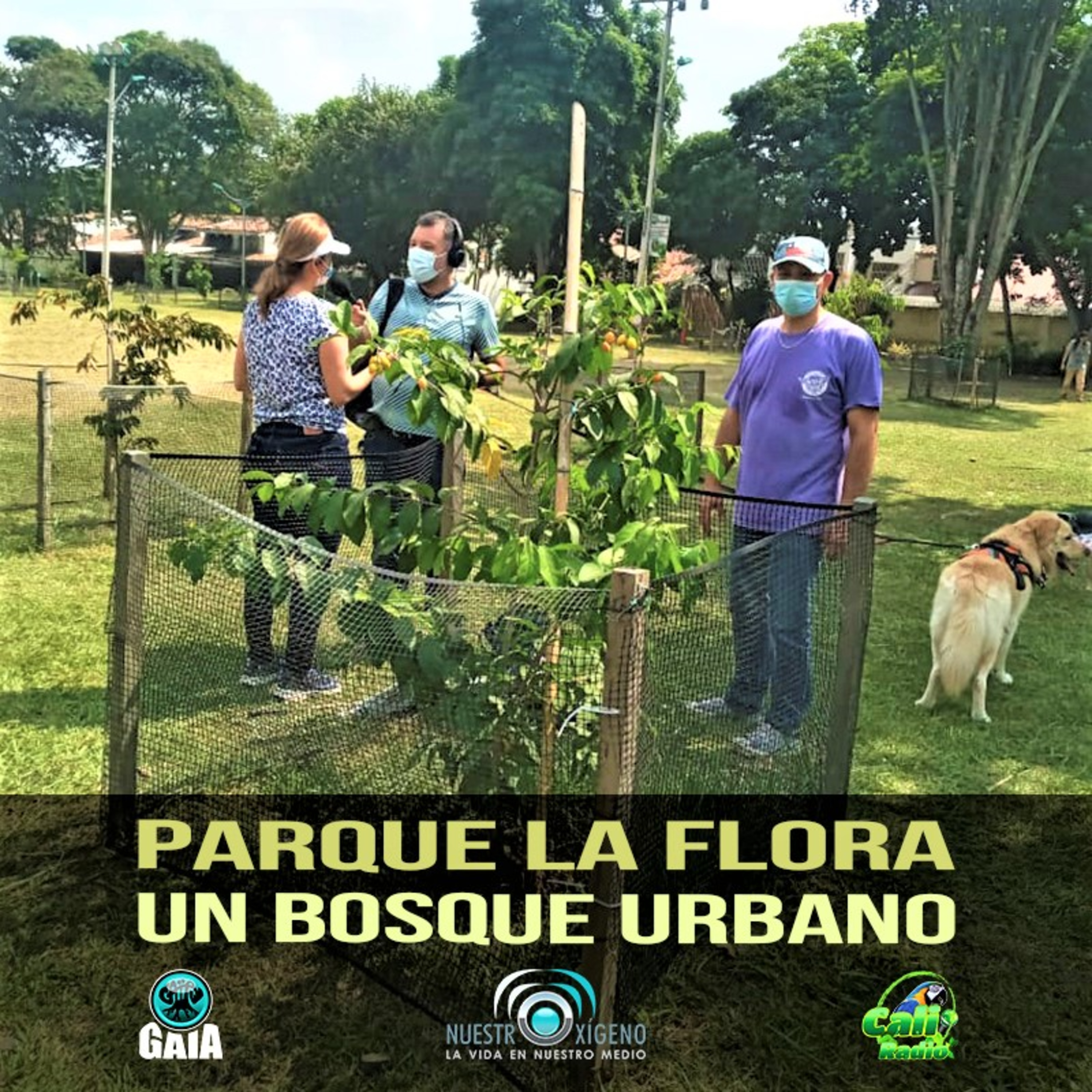NUESTRO OXÍGENO