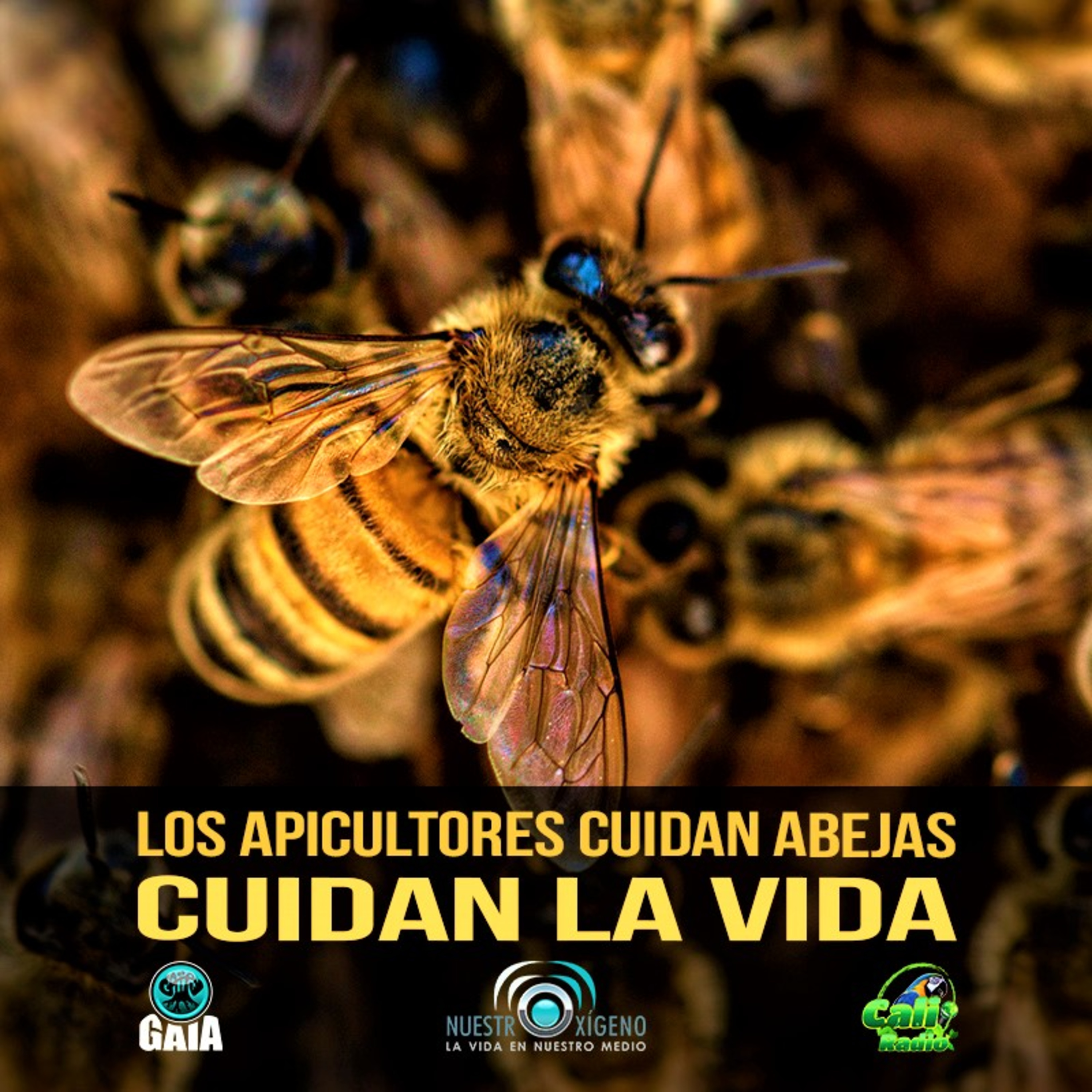 NUESTRO OXÍGENO
