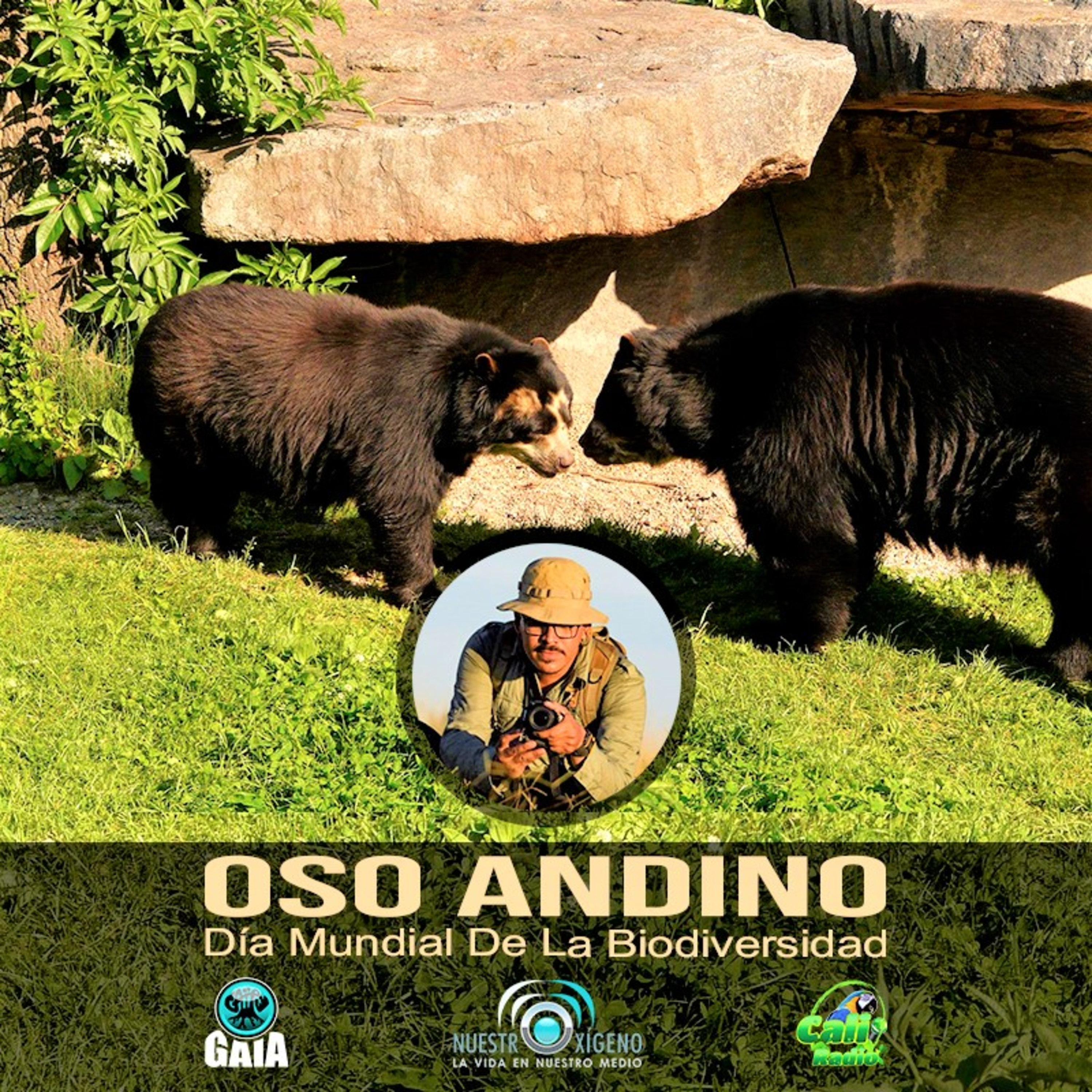 NUESTRO OXÍGENO