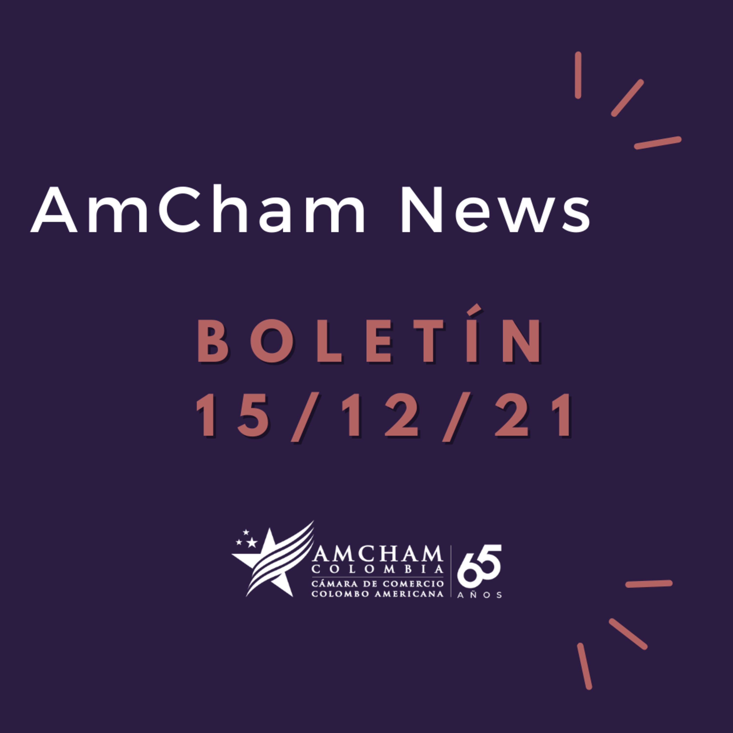 Boletín 151221 episode artwork