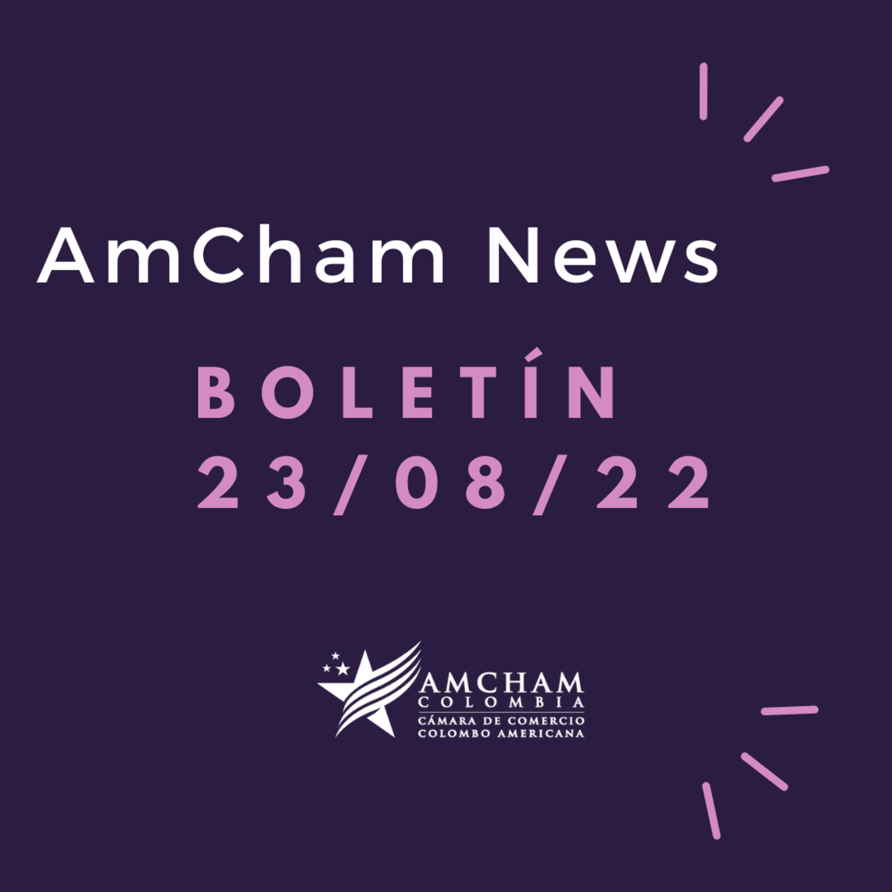 Boletín 230822 episode artwork