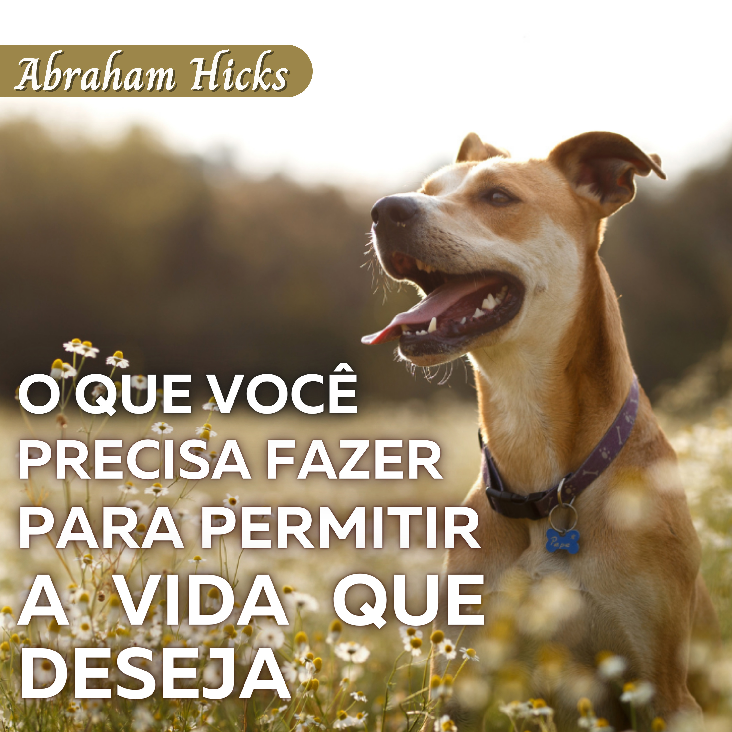 Transforme seus Pensamentos, Transforme a sua vida!