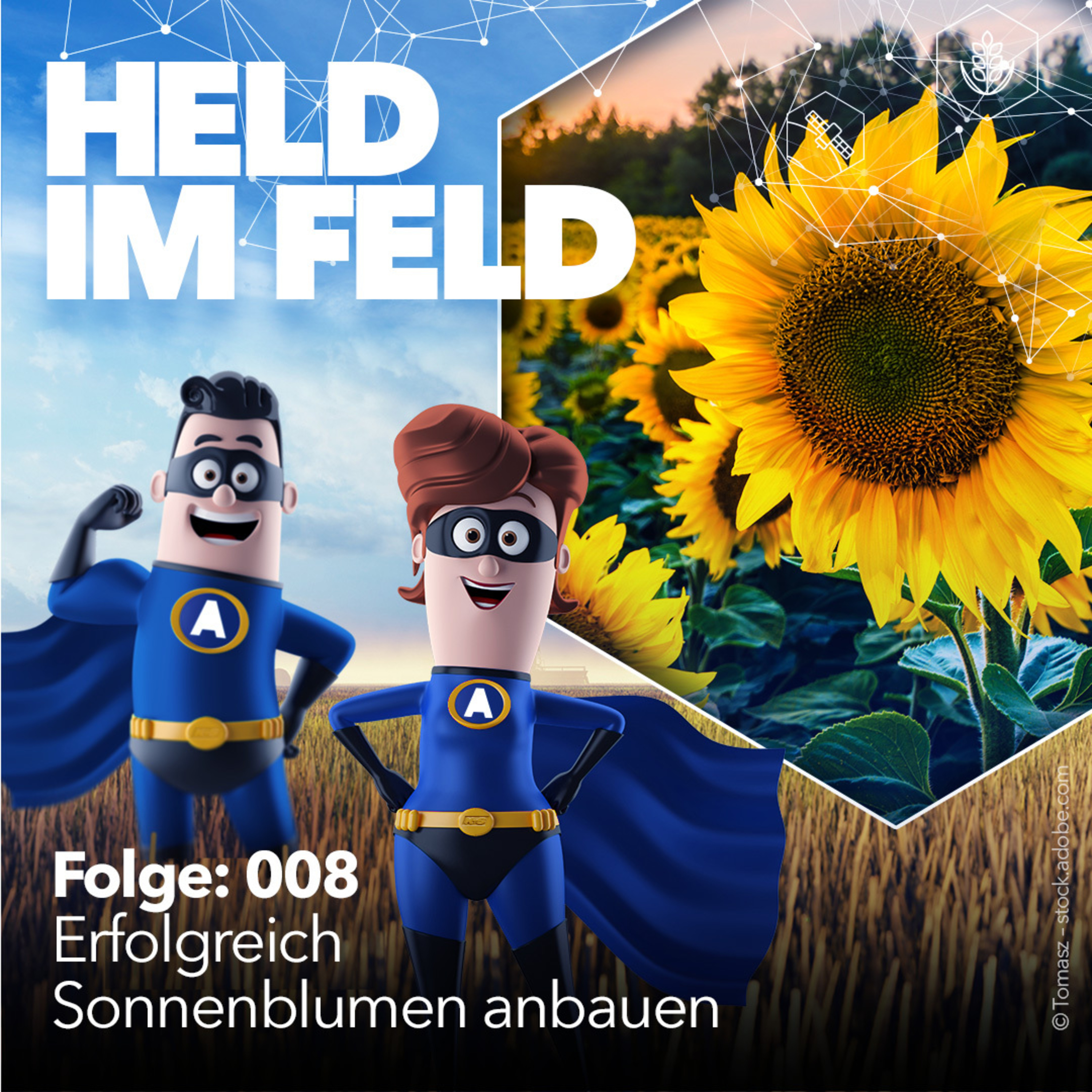 008 Wie Sie den Anbau von Sonnenblumen zum Erfolg führen – mit Landwirt Christoph Jankl