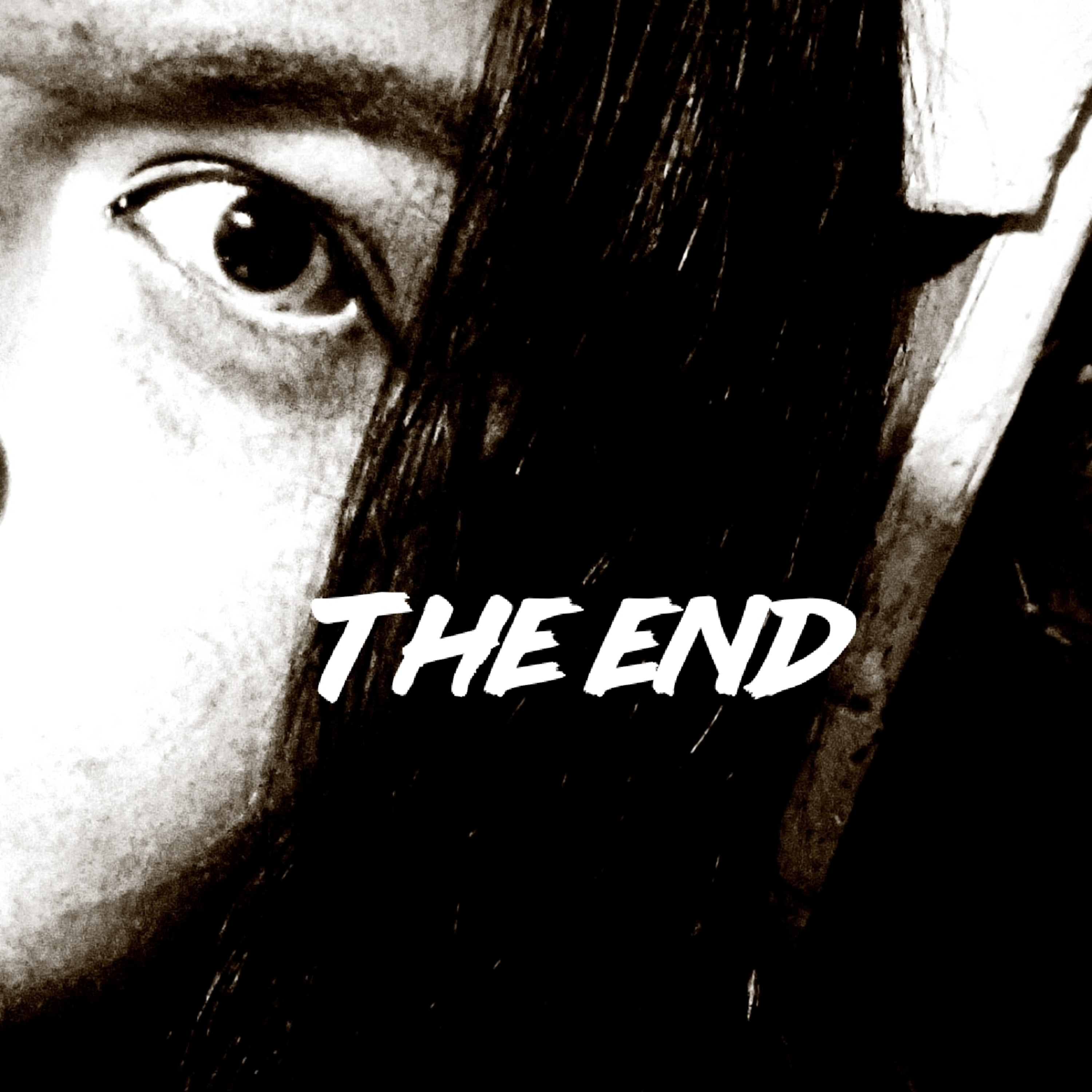 The End. episode artwork