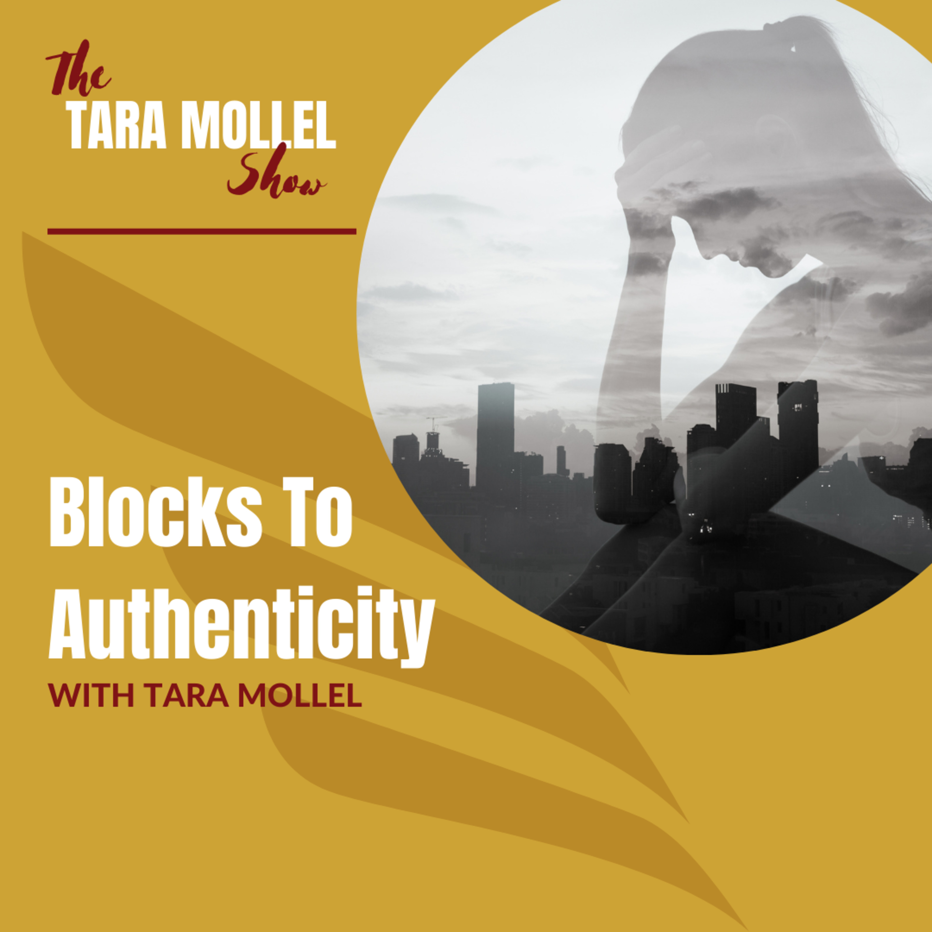 The Tara Mollel Show