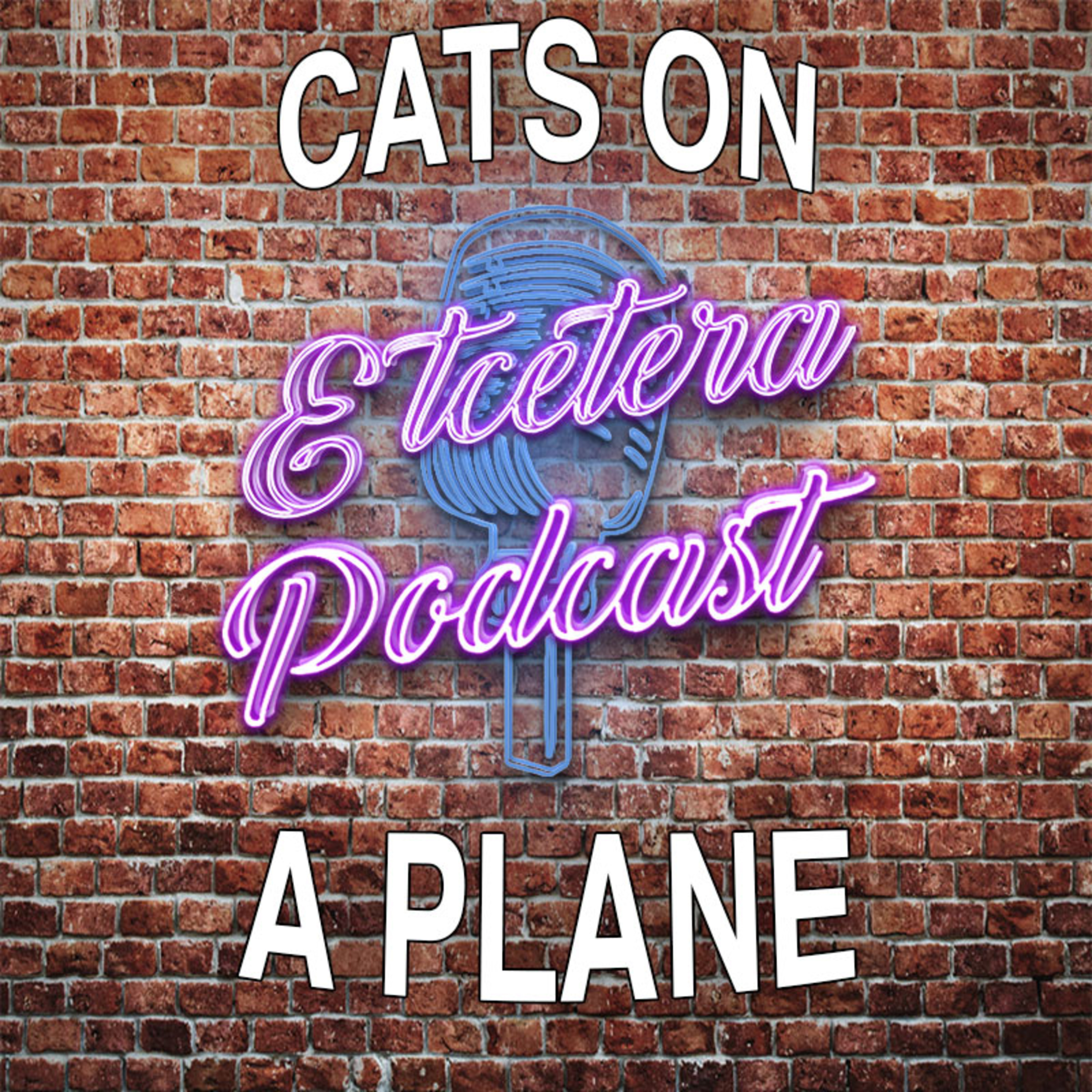 ETC Podcast #247 - CATS ON A PLANE episode artwork