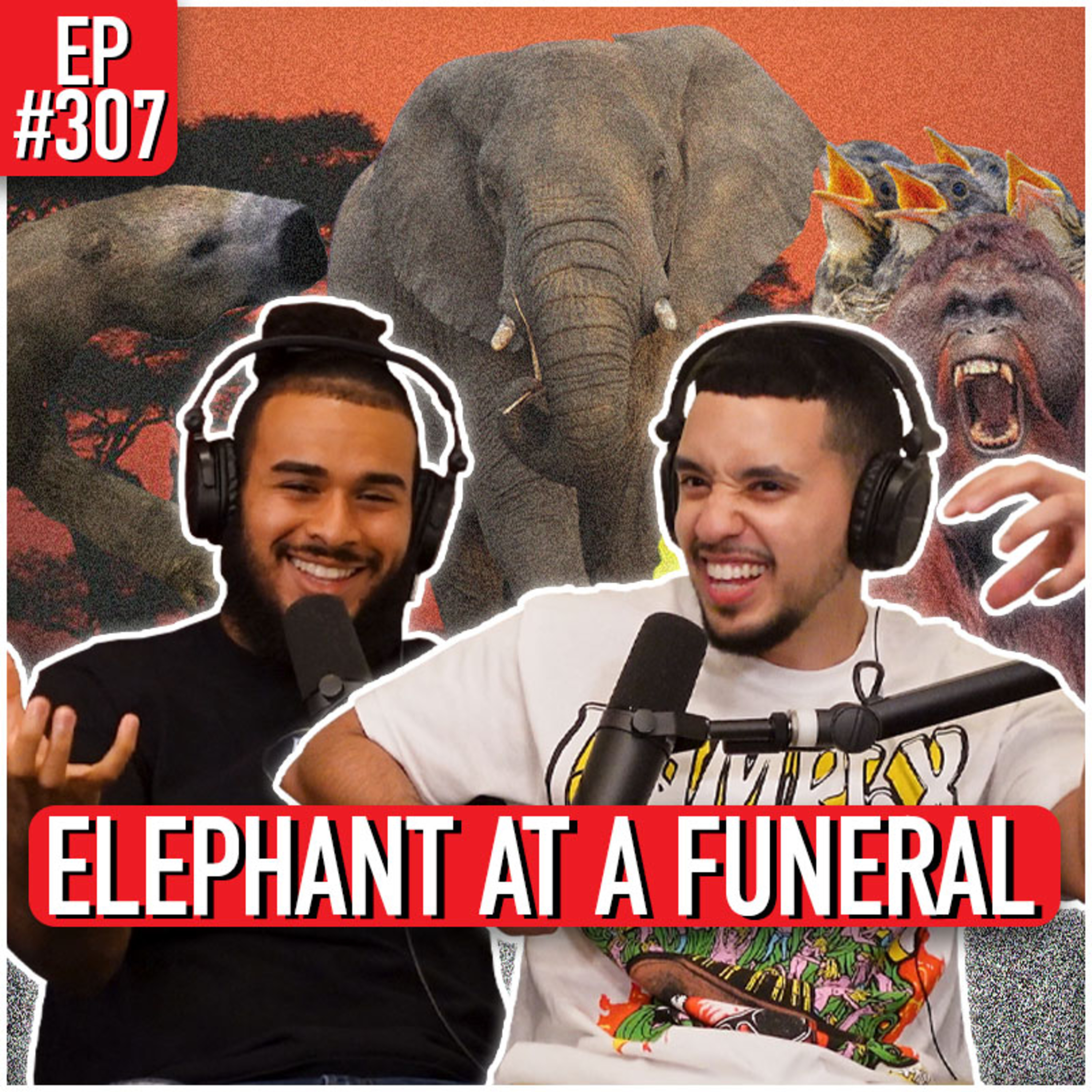 ETC Podcast #307 - ELEPHANT AT A FUNERAL episode artwork