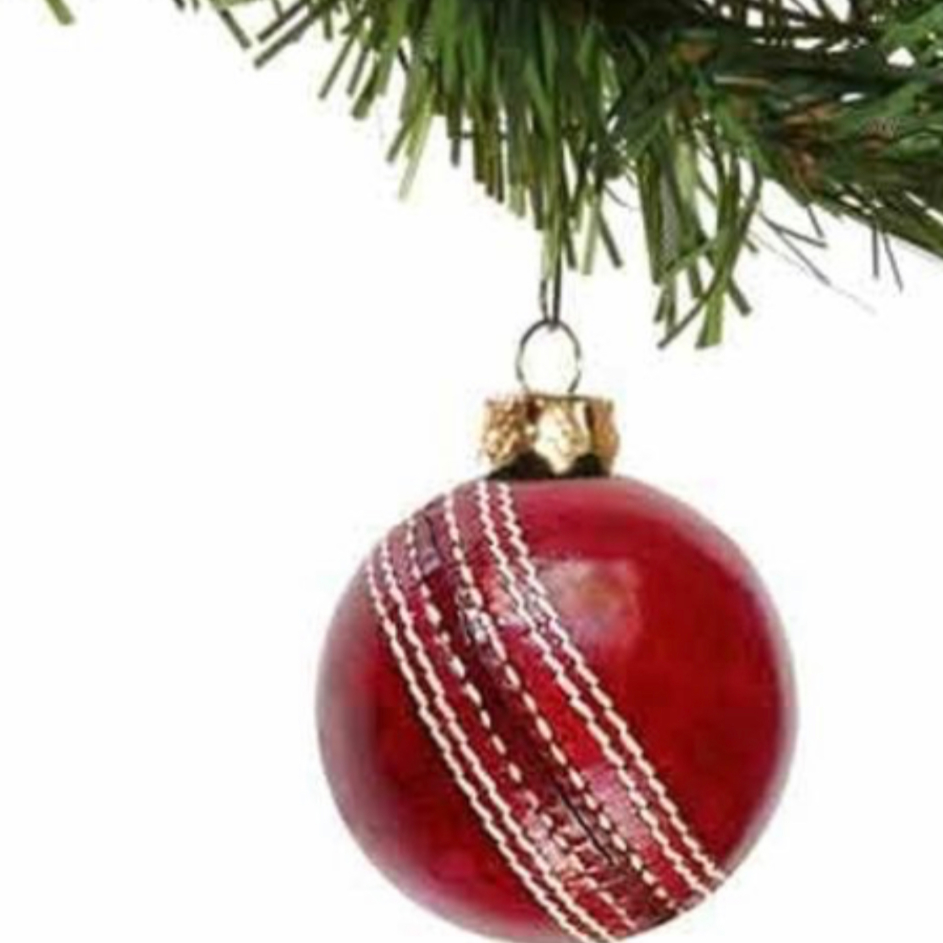 Merry Christmas from 