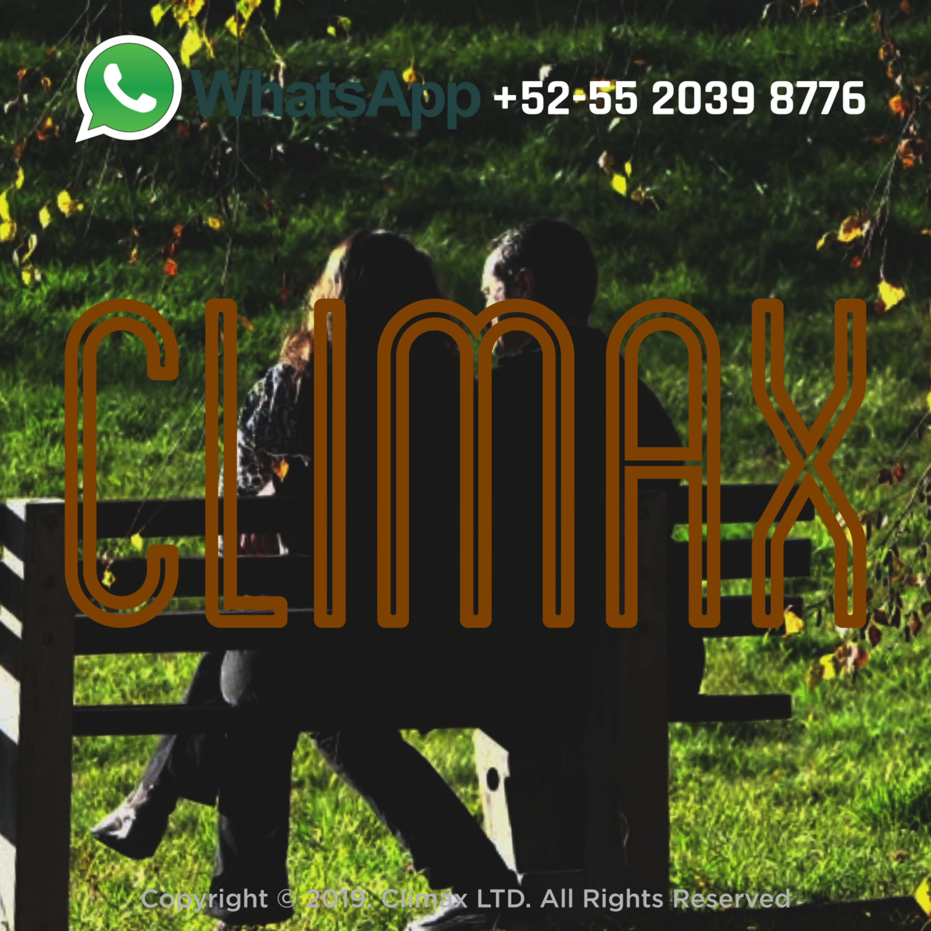 Esta Tarde en el Parque