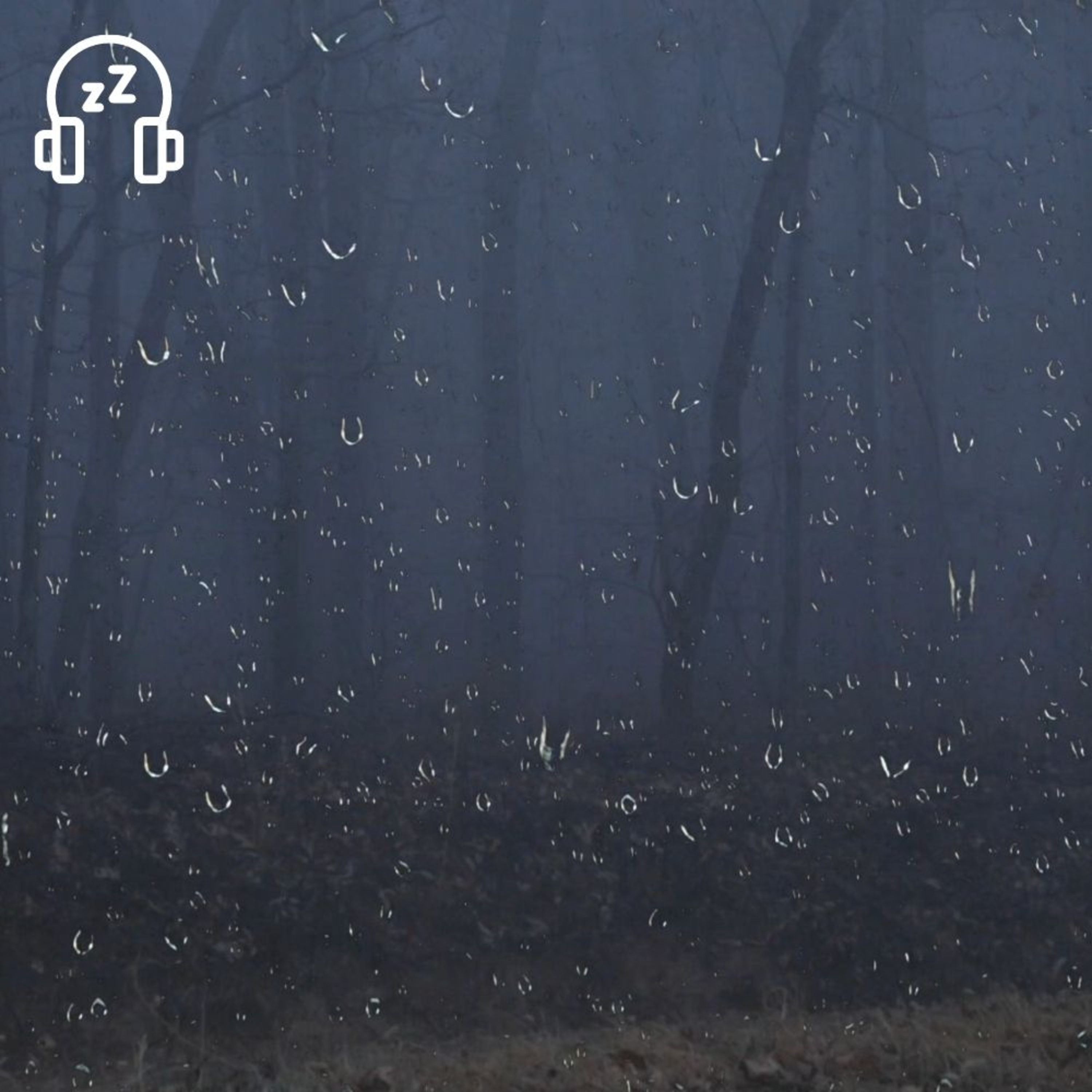 Rain & Thunder Sounds in the Foggy Forest | Rain Falling Through Trees & Thunderstorm Sounds for Sleeping Problems, Insomnia, Stress Relief, Anxiety, Tinnitus, Reading, Concentration, Working or Study