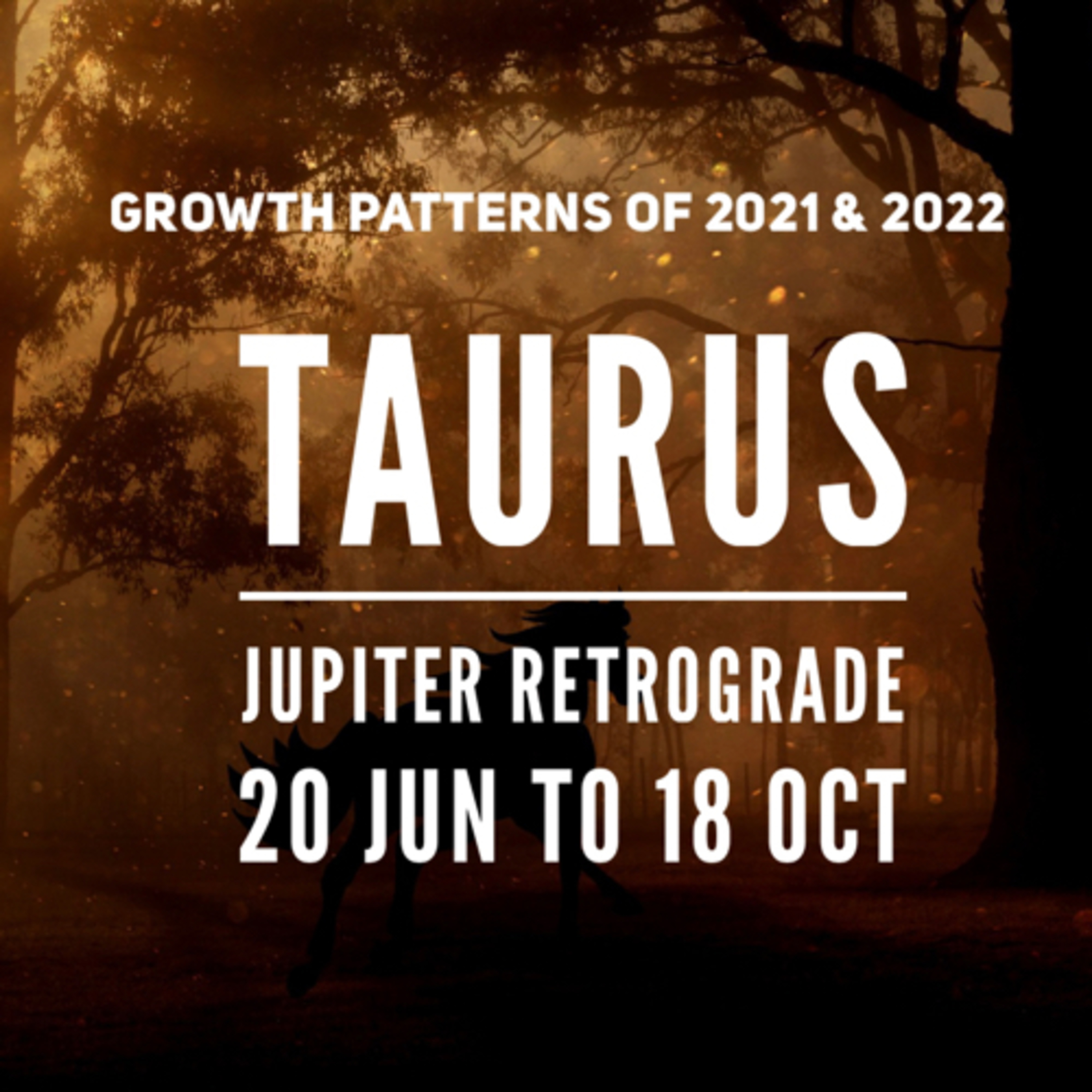 Astrology with Charu