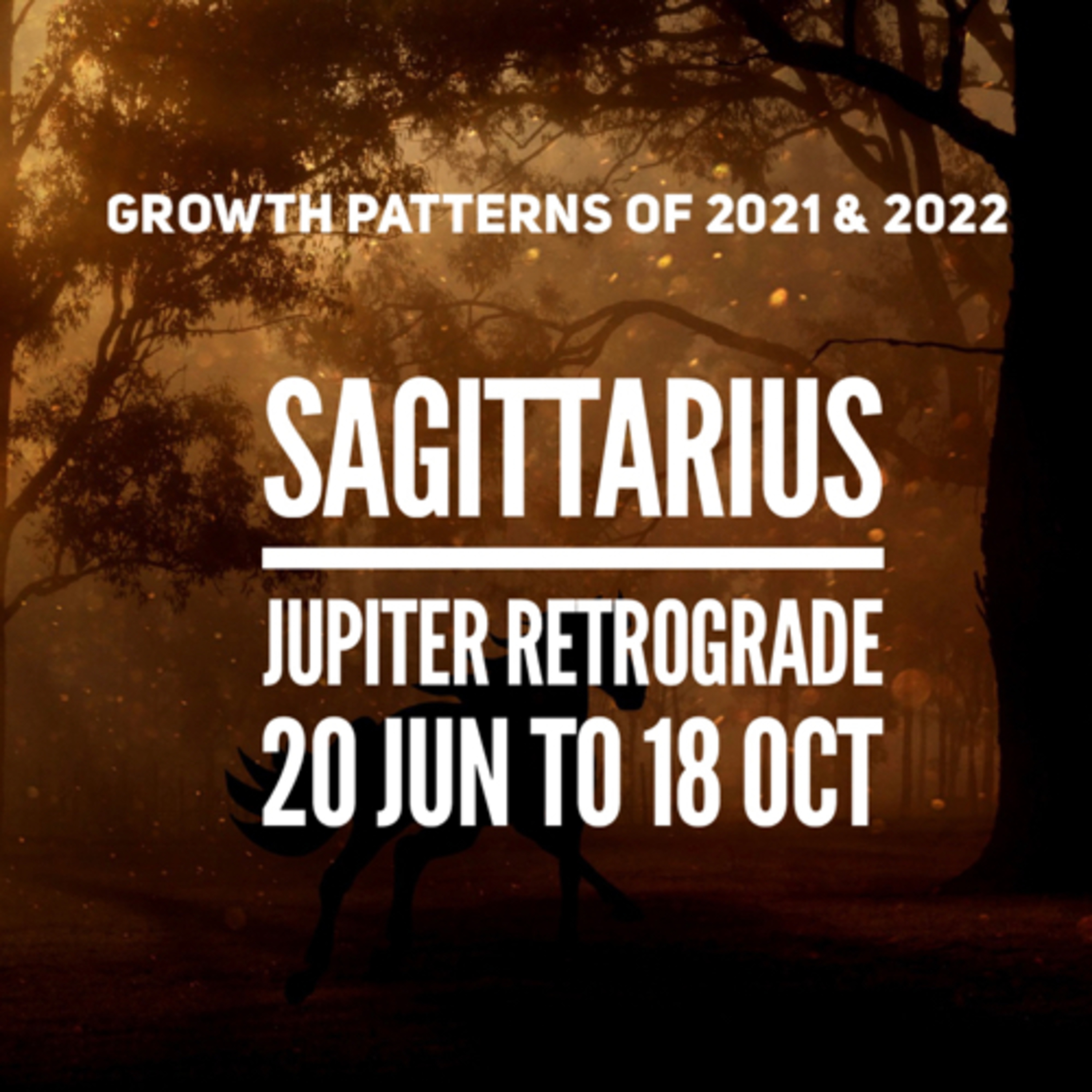 Astrology with Charu