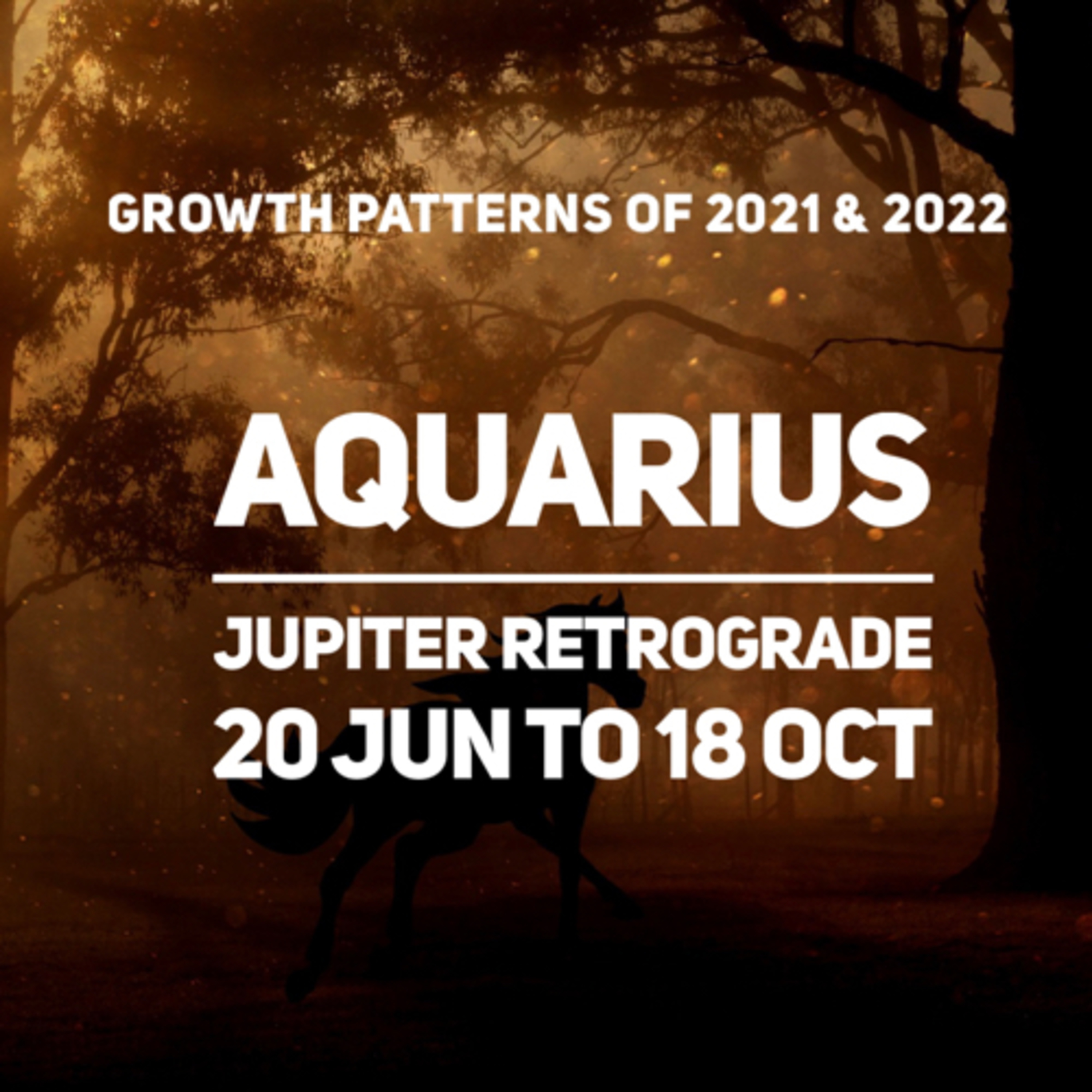 Astrology with Charu