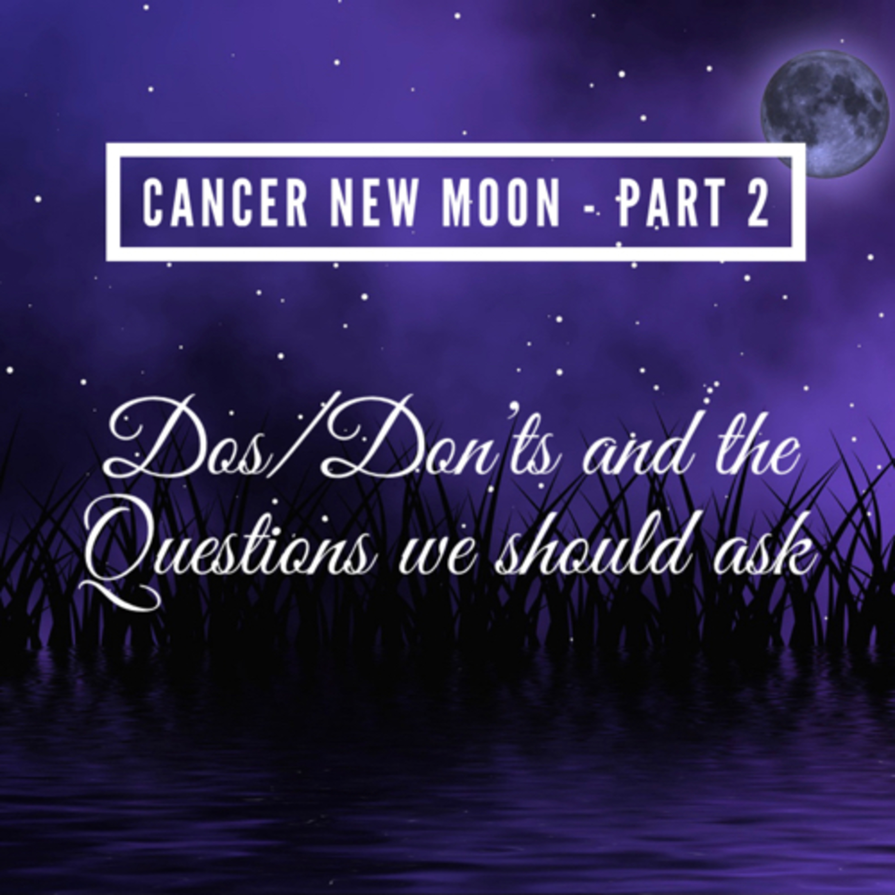 Astrology with Charu