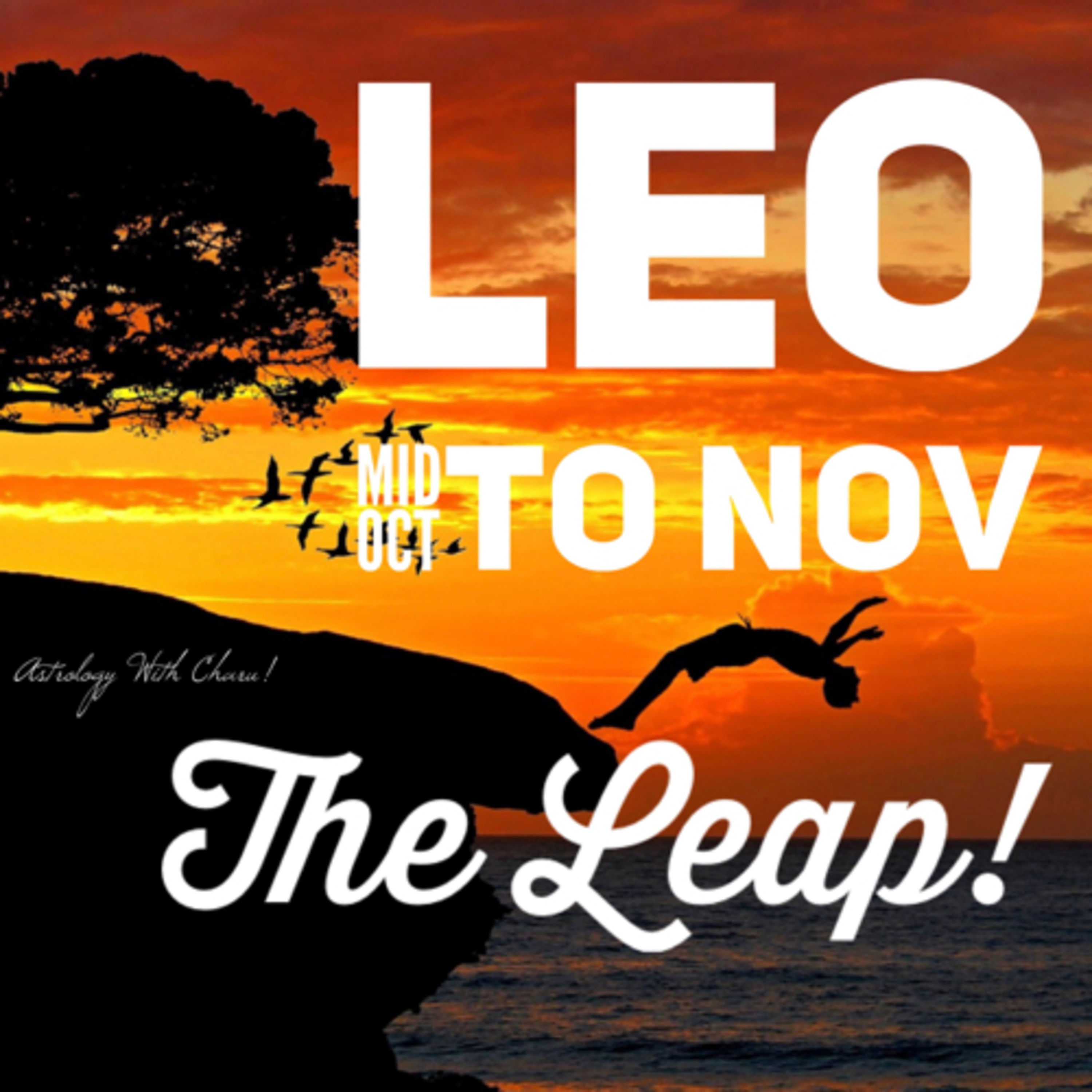 Astrology with Charu