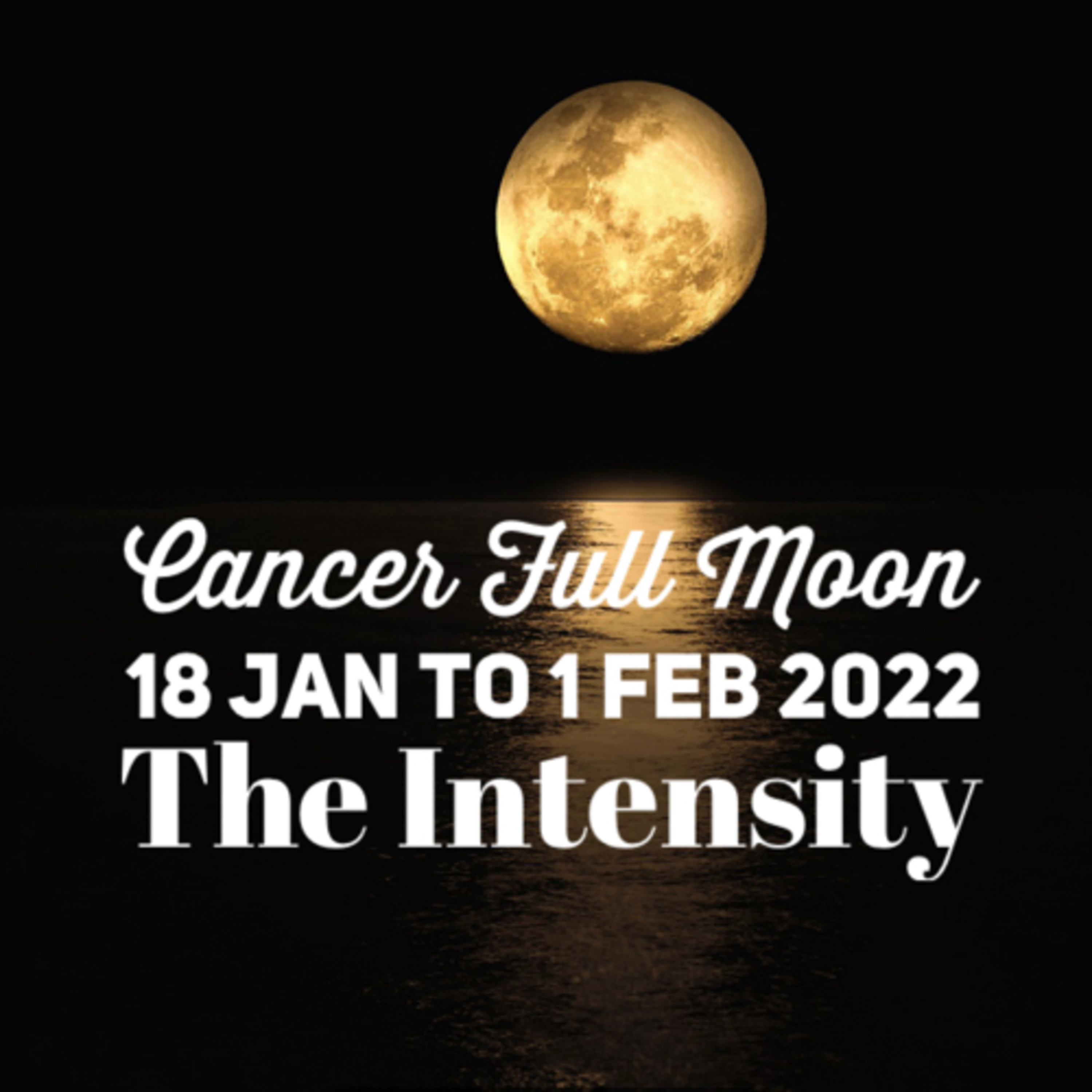 Astrology with Charu