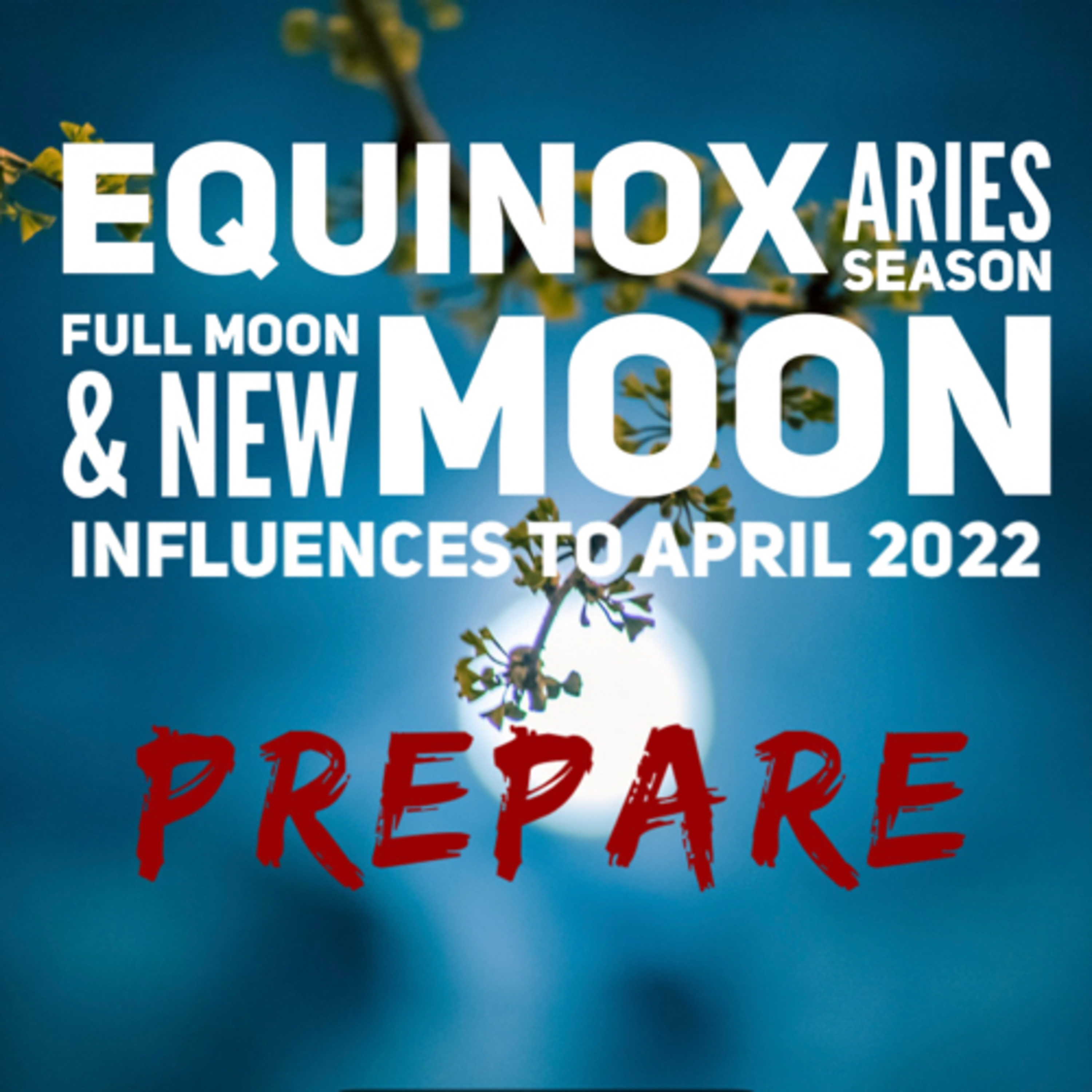 Astrology with Charu
