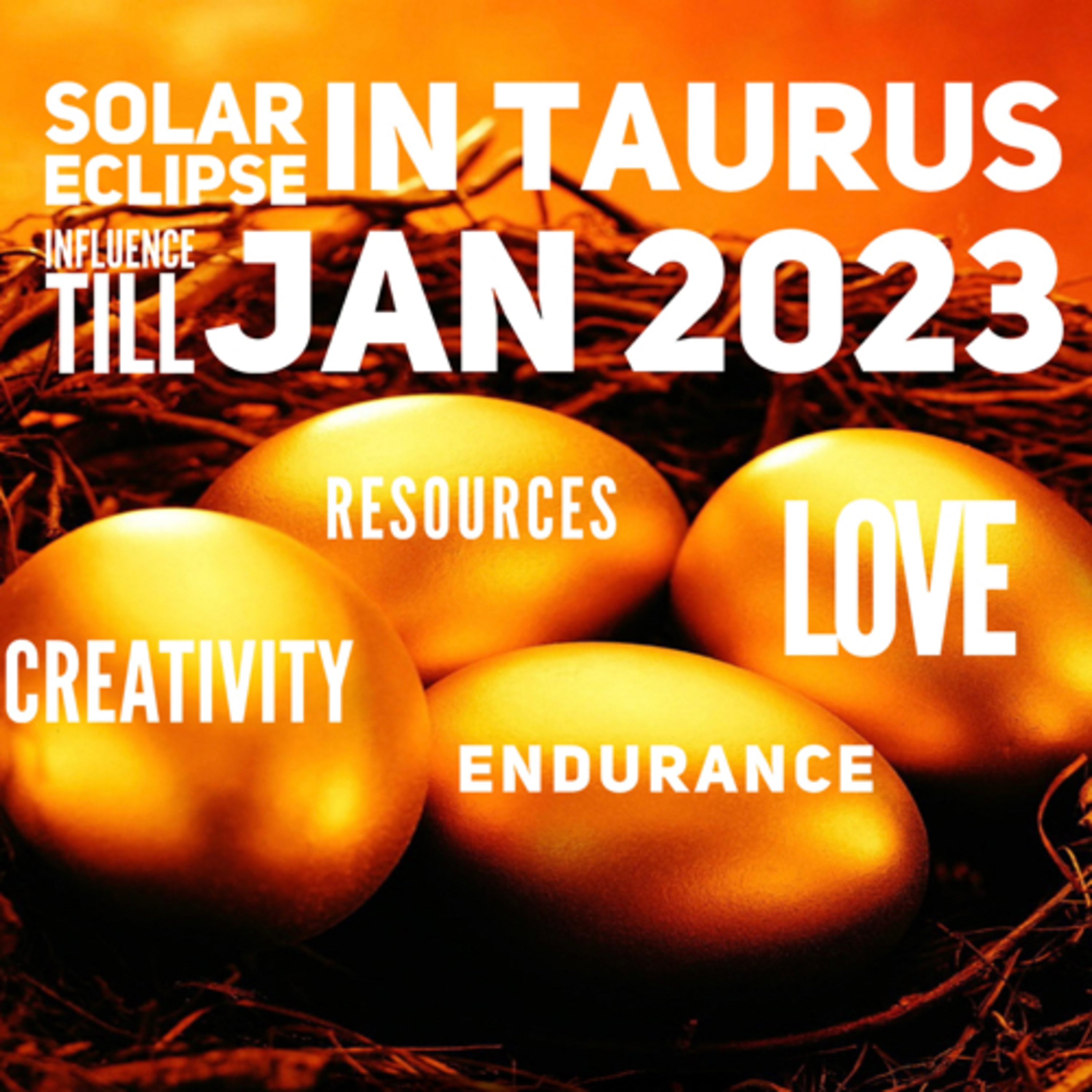 Astrology with Charu