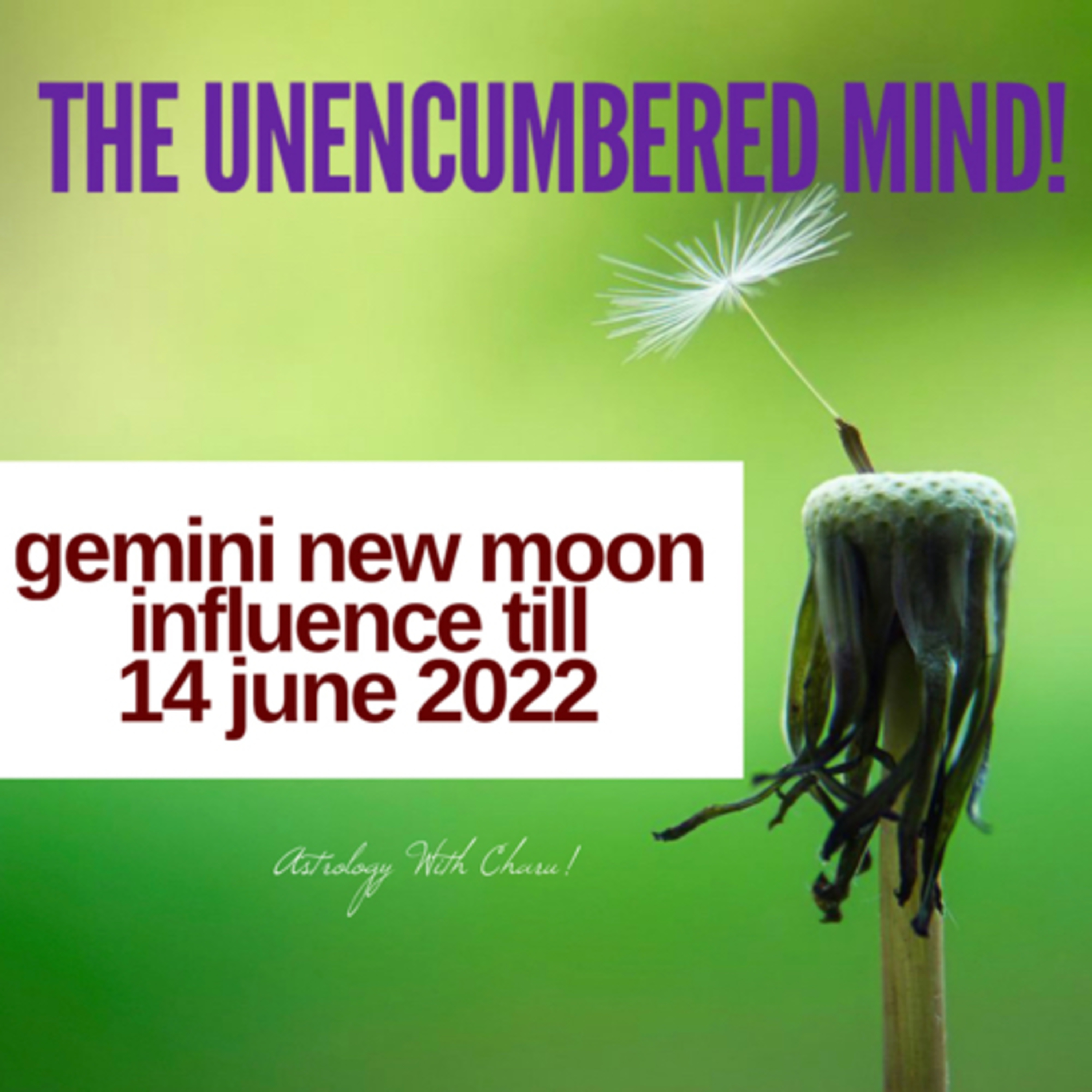 Astrology with Charu